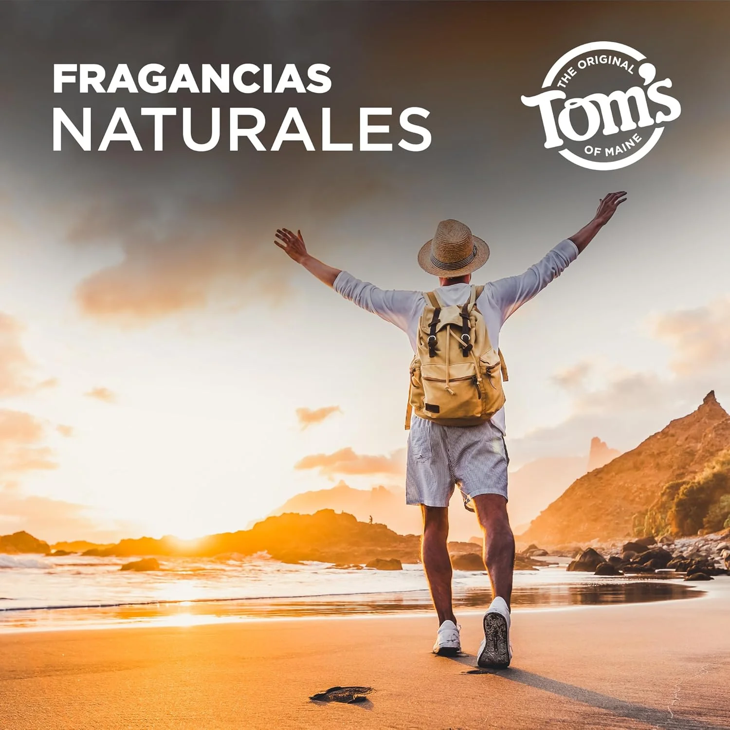 مام ضد تعریق طبیعی و ماندگار بدون آلومینیوم مردانه Tom's of Maine، رایحه چشمه کوهستانی، 80 گرم (بسته بندی ممکن است متفاوت باشد) مام ضد تعریق طبیعی و ماندگار بدون آلومینیوم مردانه Tom's of Maine، رایحه چشمه کوهستانی، 80 گرم (بسته بندی ممکن است متفاوت باشد)