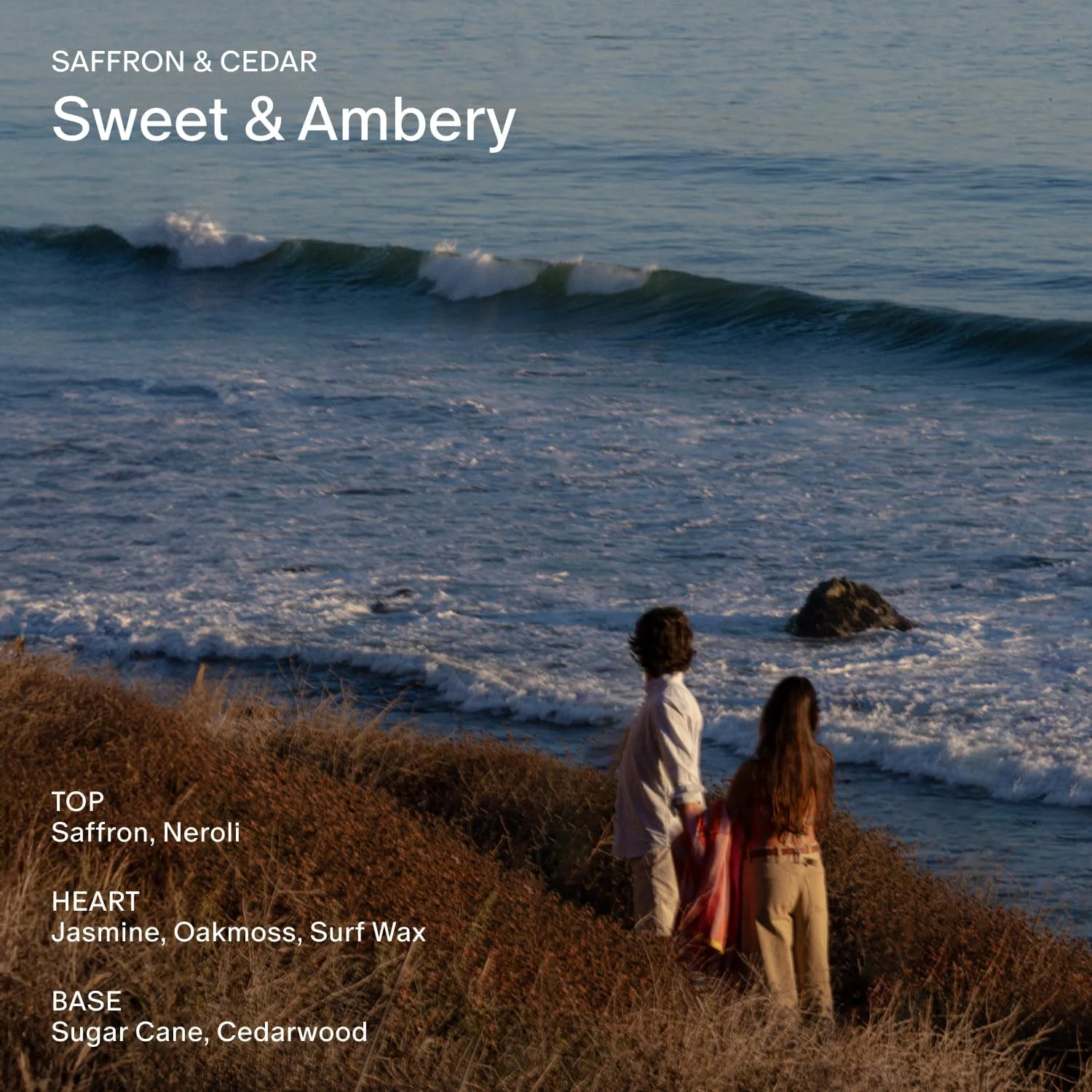 دئودورانت سالت اند استون | دئودورانت طبیعی فوق العاده قوی برای زنان و مردان | بدون آلومینیوم با عصاره جلبک دریایی، کره شی و پروبیوتیک (زعفران و سدر) دئودورانت سالت اند استون | دئودورانت طبیعی فوق العاده قوی برای زنان و مردان | بدون آلومینیوم با عصاره جلبک دریایی، کره شی و پروبیوتیک (زعفران و سدر)