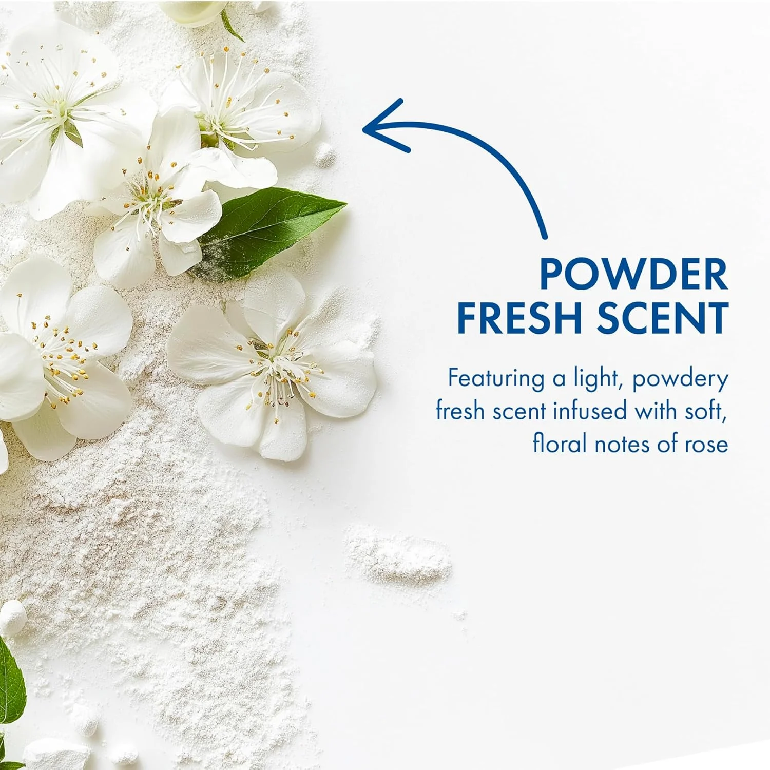 دئودورانت ضد تعریق رولی بن، پودر فرش، 103.5 میلی لیتر (بسته 2 عددی) دئودورانت ضد تعریق رولی بن، پودر فرش، 103.5 میلی لیتر (بسته 2 عددی)