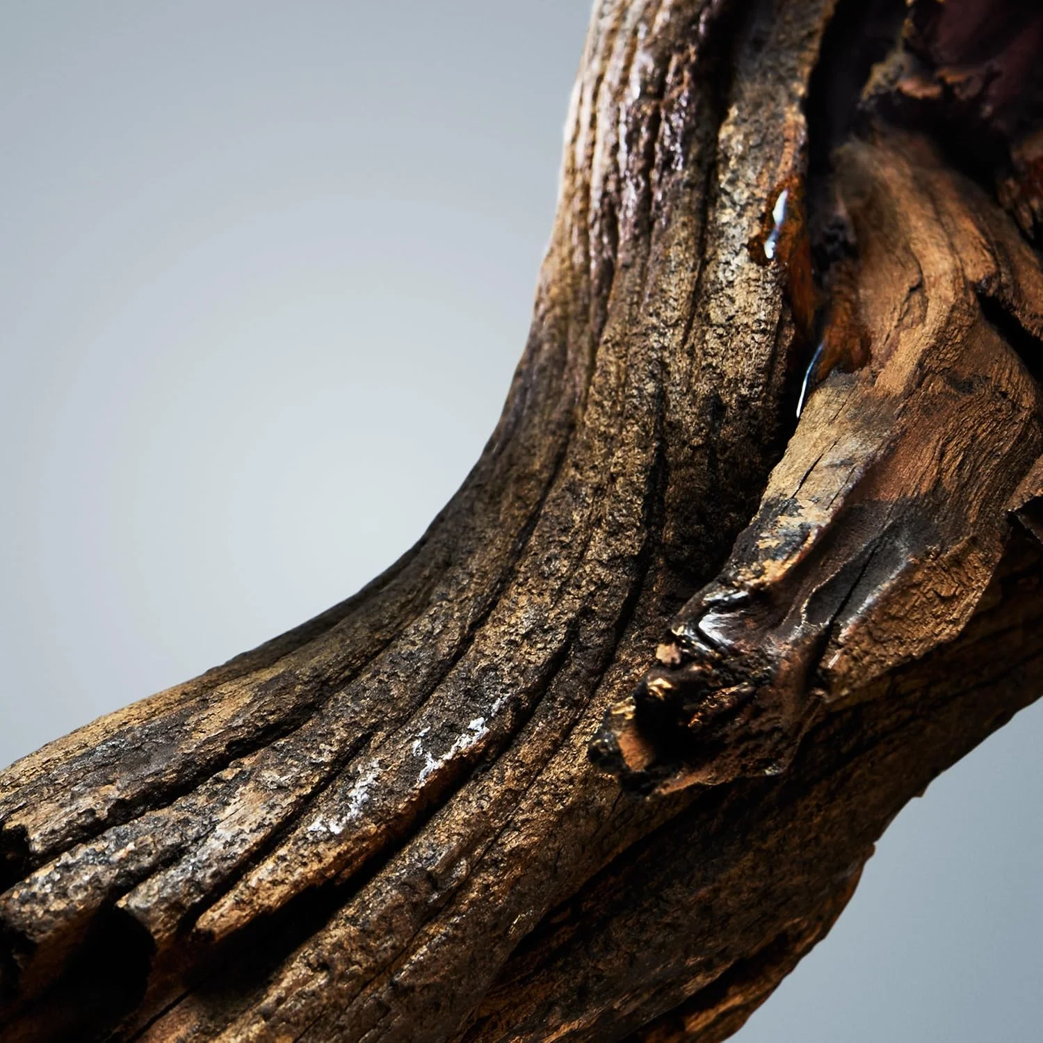 استیک دئودورانت مردانه هوگو باس باتلد 75 گرم