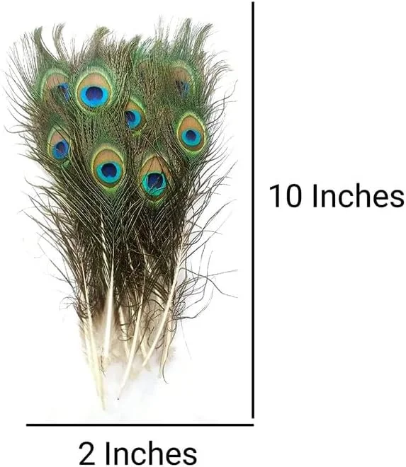 2 عدد پر طاووس مور پانک، پرهای اصلی دم طاووس، دکوری، سایز بزرگ و کوچک برای استفاده در منزل، پوجان، چند رنگ 2 عدد پر طاووس مور پانک، پرهای اصلی دم طاووس، دکوری، سایز بزرگ و کوچک برای استفاده در منزل، پوجان، چند رنگ