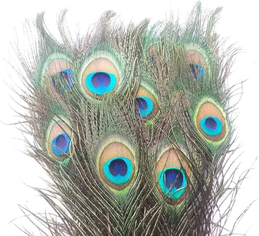 8 عدد پر طاووس مور پانک واقعی، پرهای اصلی دم، دکوری سایز بزرگ و کوچک برای استفاده در منزل، پوجان، چند رنگ 8 عدد پر طاووس مور پانک واقعی، پرهای اصلی دم، دکوری سایز بزرگ و کوچک برای استفاده در منزل، پوجان، چند رنگ