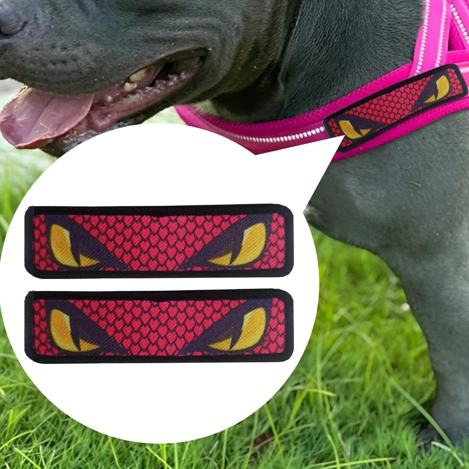 تکه دوزی لباس - تکه دوزی چشم ماری قابل حمل - اپلیکه تزئینی بازتابنده برای کیف، جلیقه سگ، نشان چسبی ژاکت تکه دوزی لباس - تکه دوزی چشم ماری قابل حمل - اپلیکه تزئینی بازتابنده برای کیف، جلیقه سگ، نشان چسبی ژاکت