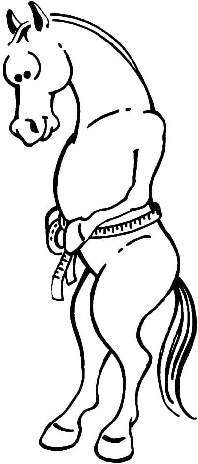 نوار اندازه گیری قد و وزن اسب و پونی Tough 1