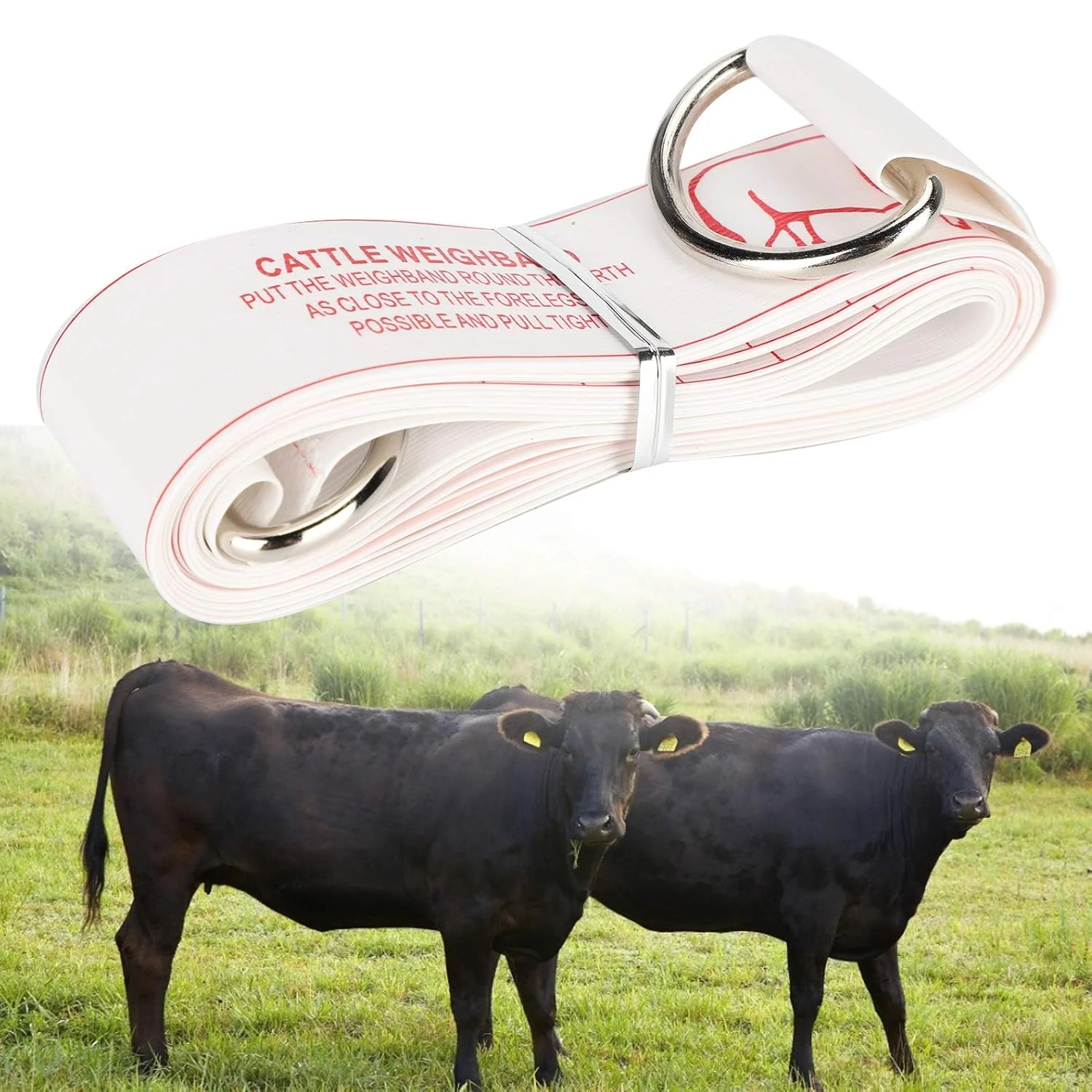 متر نواری گاو، خط کش اندازه گیری بدنه نرم PVC برای تخمین وزن گاو، طول 250 سانتی متر، گرفتن سریع، جمع شدن آسان، مناسب برای کشاورزان، می تواند اندازه گیری دقیق را ارائه دهد
