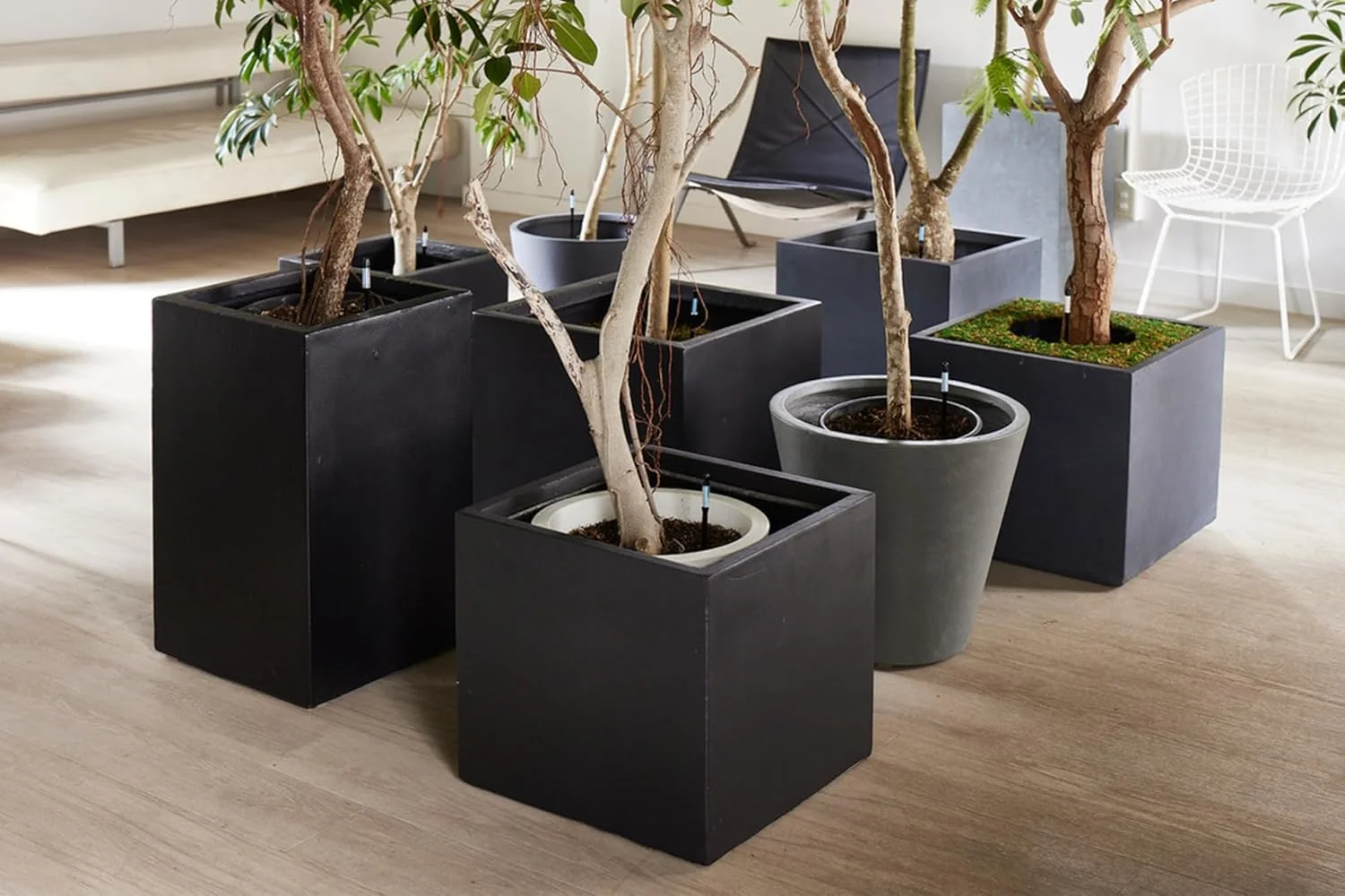 رطوبت سنج خاک SUS tee Aquameter - سایز متوسط - مشکی - بسته 5 عددی - رطوبت سنج دائمی خاک برای گیاهان گلدانی - سنسور تشخیص آب گیاه - قابل شارژ