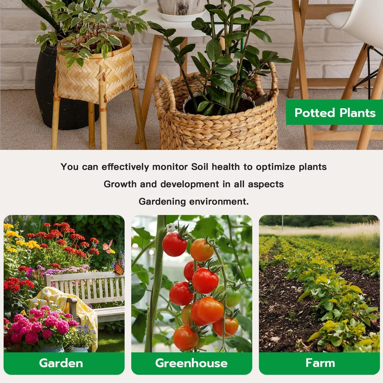 دستگاه تشخیص رطوبت خاک، تستر رطوبت خاک گیاه، مجموعه هوشمند تستر خاک با باتری دکمه ای برای باغ، مزرعه، چمن، داخل و خارج از منزل دستگاه تشخیص رطوبت خاک، تستر رطوبت خاک گیاه، مجموعه هوشمند تستر خاک با باتری دکمه ای برای باغ، مزرعه، چمن، داخل و خارج از منزل