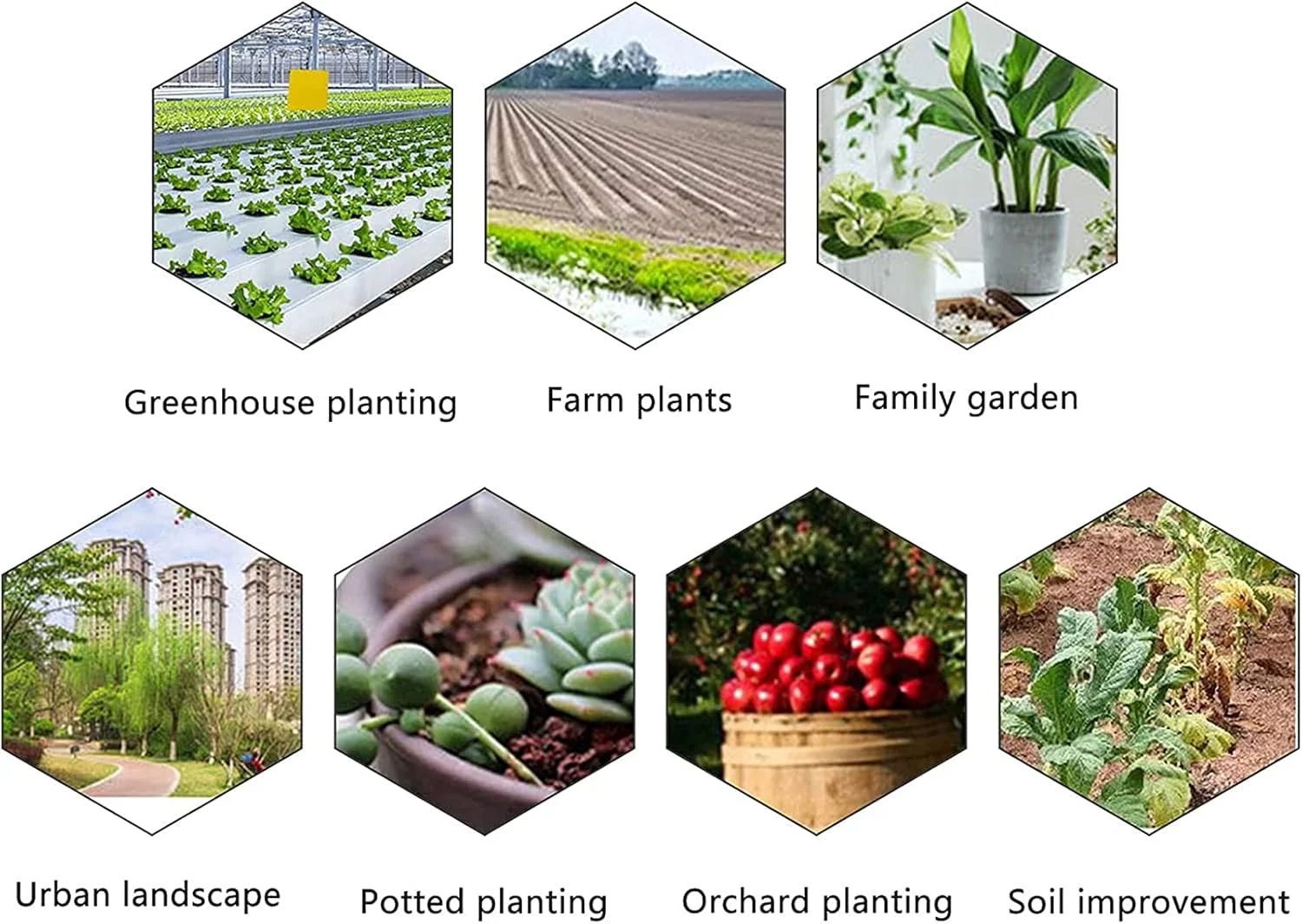 رطوبت سنج خاک 5 در 1 CRTGW، تستر خاک، PH متر خاک، رطوبت سنج دیجیتال خاک، رطوبت سنج برای گیاهان، دما/نور/PH/رطوبت/محیط خاک برای مراقبت از چمن، گل، دانه و چمن در فضای داخلی و خارجی رطوبت سنج خاک 5 در 1 CRTGW، تستر خاک، PH متر خاک، رطوبت سنج دیجیتال خاک، رطوبت سنج برای گیاهان، دما/نور/PH/رطوبت/محیط خاک برای مراقبت از چمن، گل، دانه و چمن در فضای داخلی و خارجی