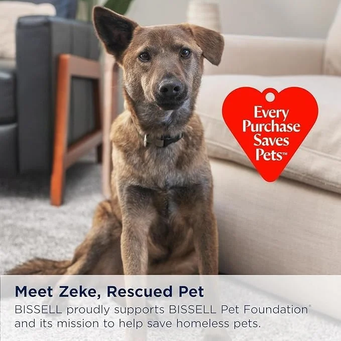 جاروبرقی و تی چند منظوره بیسل مدل 2554A CrossWave Cordless Max، مناسب برای سطوح سخت و فرش، مشکی/سفید صدفی با تزیینات آبی الکتریکی جاروبرقی و تی چند منظوره بیسل مدل 2554A CrossWave Cordless Max، مناسب برای سطوح سخت و فرش، مشکی/سفید صدفی با تزیینات آبی الکتریکی