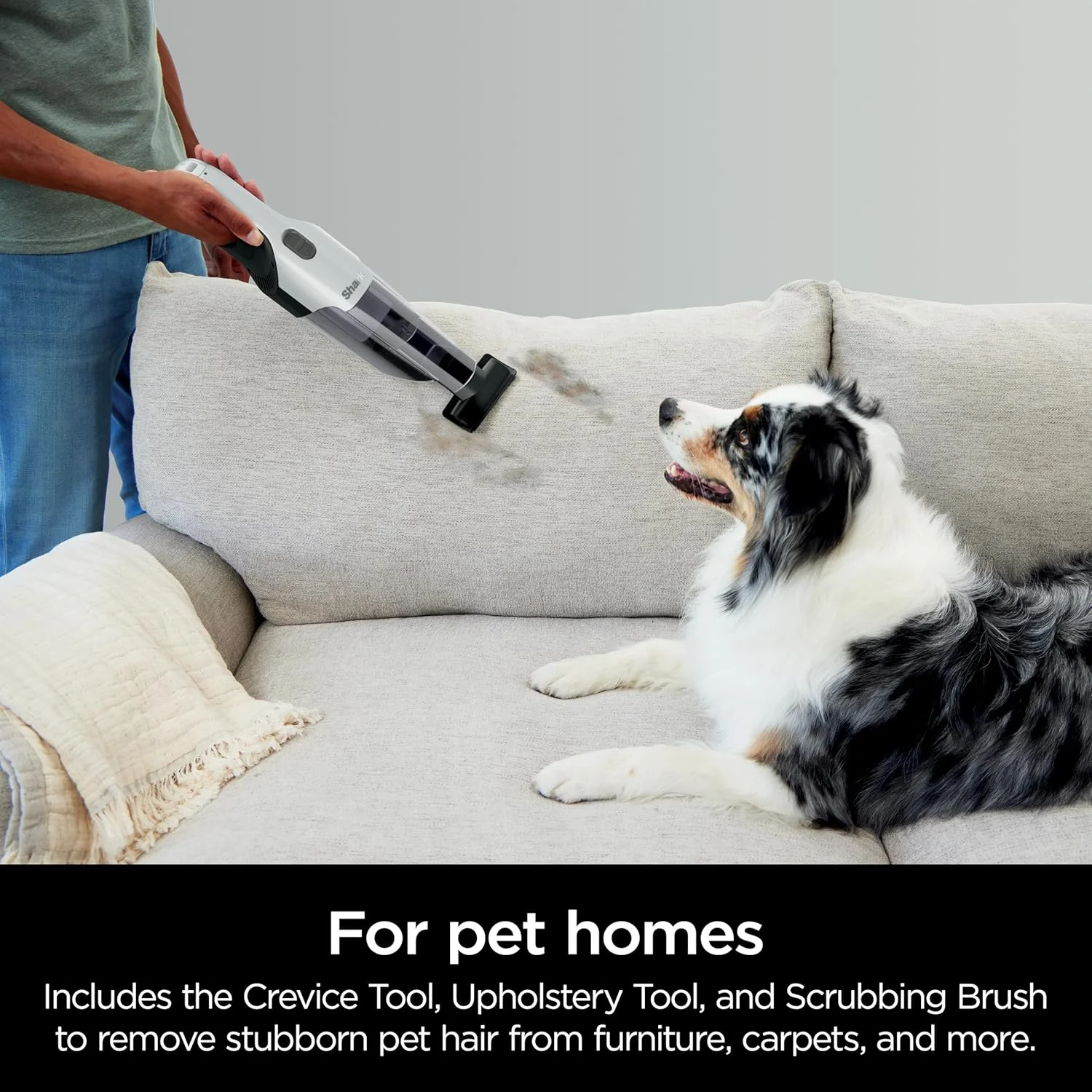 جاروبرقی دستی شارک Cyclone PET با مکش HyperVelocity، جمع آوری قدرتمند موی حیوانات خانگی، سبک وزن، مخزن گرد و غبار XL، شامل ابزار اثاثه یا لوازم داخلی، ابزار شکاف 8 اینچی، برس تمیز کننده، سفید مرواریدی، AA701 جاروبرقی دستی شارک Cyclone PET با مکش HyperVelocity، جمع آوری قدرتمند موی حیوانات خانگی، سبک وزن، مخزن گرد و غبار XL، شامل ابزار اثاثه یا لوازم داخلی، ابزار شکاف 8 اینچی، برس تمیز کننده، سفید مرواریدی، AA701