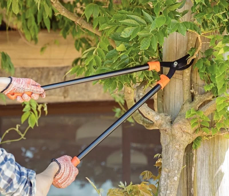 Tramontina's 60 cm steel bypass lopping shears with metal handles Tramontina's 60 cm steel bypass lopping shears with metal handles