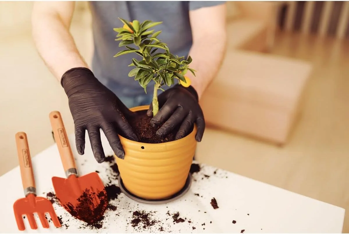 ست ابزار باغبانی 3 تکه ترامونتینا با فولاد کربنی ویژه و دسته چوبی شامل بیلچه باغبانی + کولتیواتور 3 دندانه + چنگال باغبانی 4 دندانه 78100801