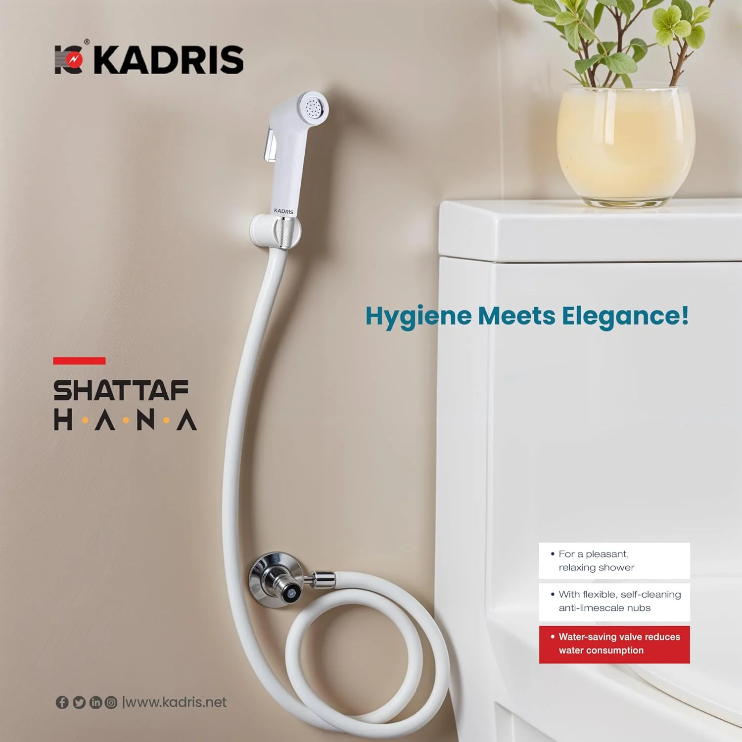 ست شیلنگ توالت (بیده) سه تکه کادریس مدل SA-1117 Hana، نقره ای ست شیلنگ توالت (بیده) سه تکه کادریس مدل SA-1117 Hana، نقره ای