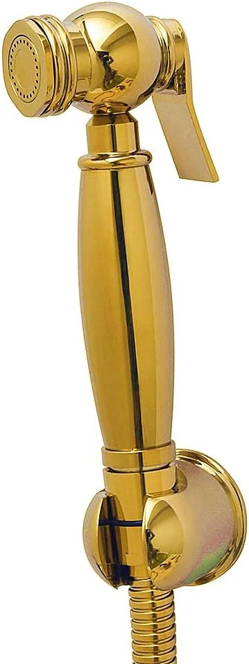 ست شاتاف/بیده دستی طلایی برنجی دیواری AYIVG برای حمام، شامل اسپری، شلنگ و براکت دیواری ست شاتاف/بیده دستی طلایی برنجی دیواری AYIVG برای حمام، شامل اسپری، شلنگ و براکت دیواری
