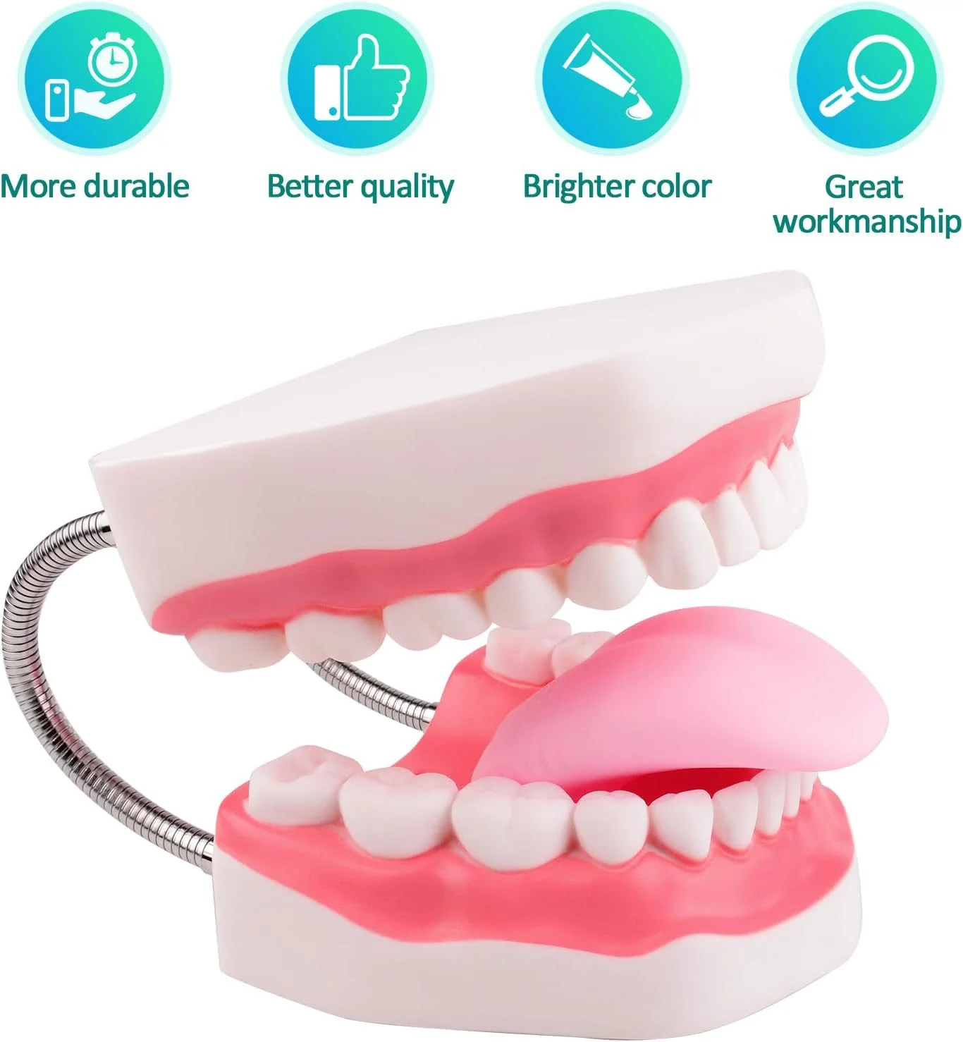 مدل دندان مگنوم Ultrassist، 6 برابر اندازه استاندارد بزرگ شده، برای آموزش دندانپزشکی و گفتاردرمانی؛ شامل مسواک و لوازم آموزش دندانپزشکی مدل دندان مگنوم Ultrassist، 6 برابر اندازه استاندارد بزرگ شده، برای آموزش دندانپزشکی و گفتاردرمانی؛ شامل مسواک و لوازم آموزش دندانپزشکی