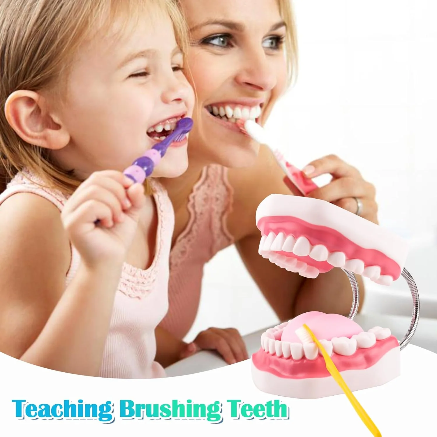 مدل دندان مگنوم Ultrassist، 6 برابر اندازه استاندارد بزرگ شده، برای آموزش دندانپزشکی و گفتاردرمانی؛ شامل مسواک و لوازم آموزش دندانپزشکی مدل دندان مگنوم Ultrassist، 6 برابر اندازه استاندارد بزرگ شده، برای آموزش دندانپزشکی و گفتاردرمانی؛ شامل مسواک و لوازم آموزش دندانپزشکی