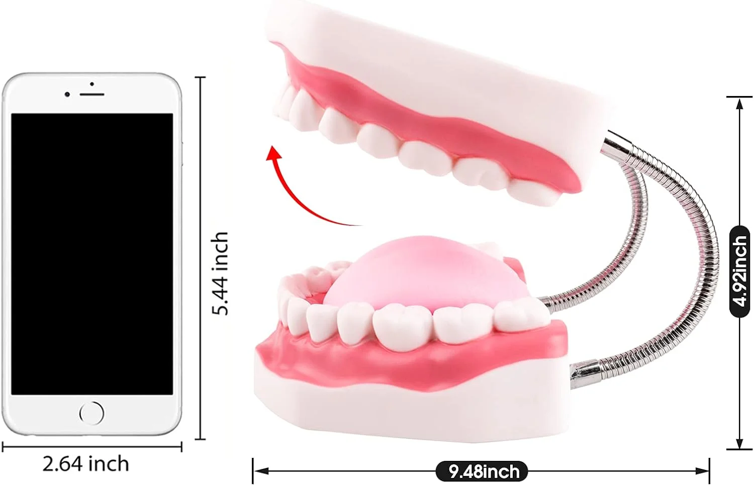 مدل دندان مگنوم Ultrassist، 6 برابر اندازه استاندارد بزرگ شده، برای آموزش دندانپزشکی و گفتاردرمانی؛ شامل مسواک و لوازم آموزش دندانپزشکی مدل دندان مگنوم Ultrassist، 6 برابر اندازه استاندارد بزرگ شده، برای آموزش دندانپزشکی و گفتاردرمانی؛ شامل مسواک و لوازم آموزش دندانپزشکی