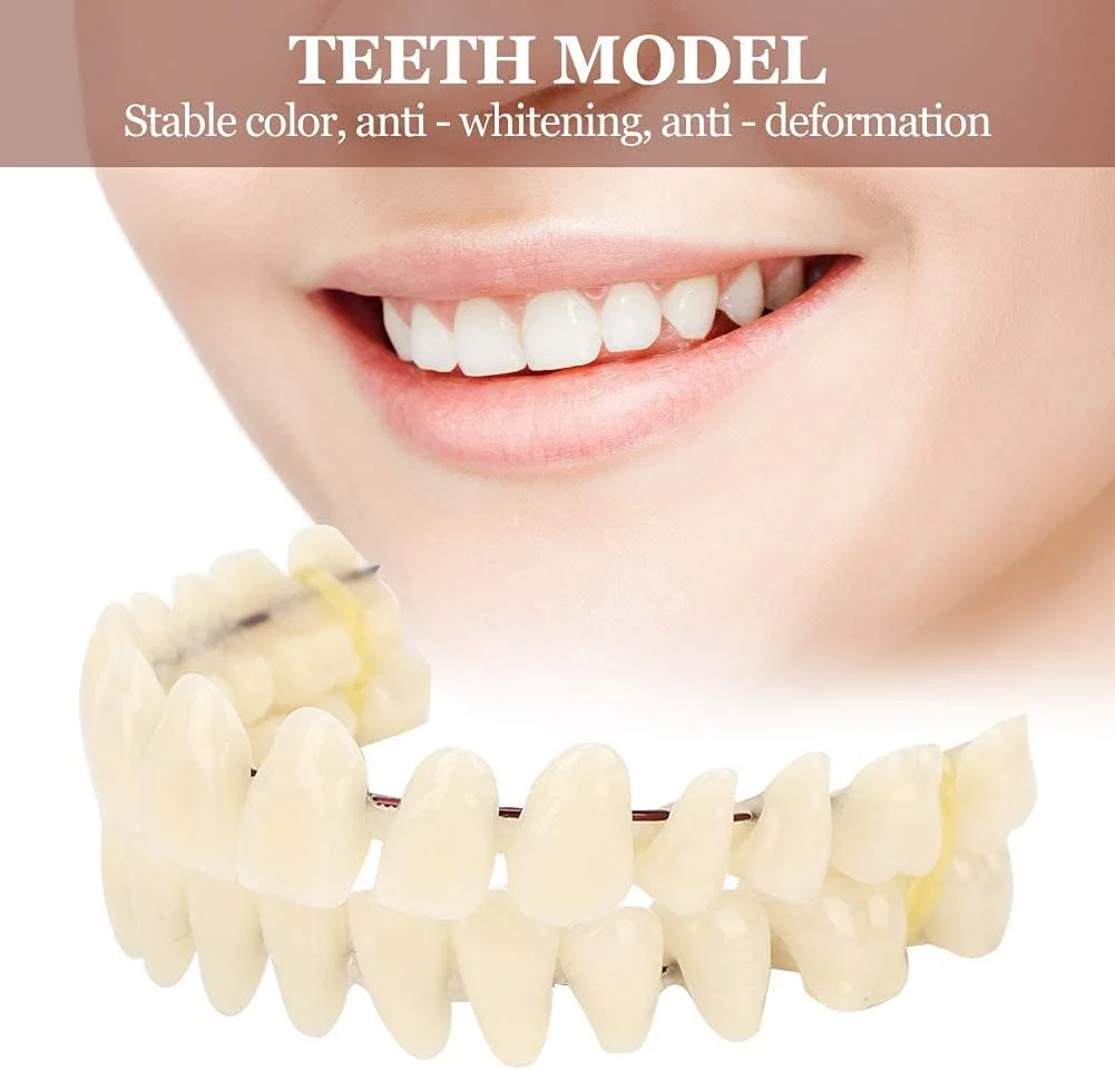 دندان مصنوعی رزینی SYOSI، مدل آموزشی دندانپزشکی، مدل دندانپزشکی از جنس مواد دندانی، دندان مصنوعی رزینی برای بیماران دارای نقص حفره دهانی، مدل دندان مصنوعی لوازم دندانپزشکی، 1 ست دندان بالا/پایین دندان مصنوعی رزینی SYOSI، مدل آموزشی دندانپزشکی، مدل دندانپزشکی از جنس مواد دندانی، دندان مصنوعی رزینی برای بیماران دارای نقص حفره دهانی، مدل دندان مصنوعی لوازم دندانپزشکی، 1 ست دندان بالا/پایین