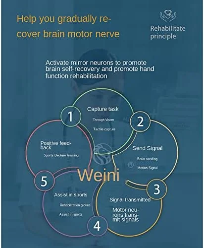 دستکش ربات توانبخشی انگشت همی پلژی HANEFRE، دستکش پنوماتیک ربات توانبخشی، آتل دست عملکردی ارتز برای تسکین طولانی مدت، آبی (راست، M)