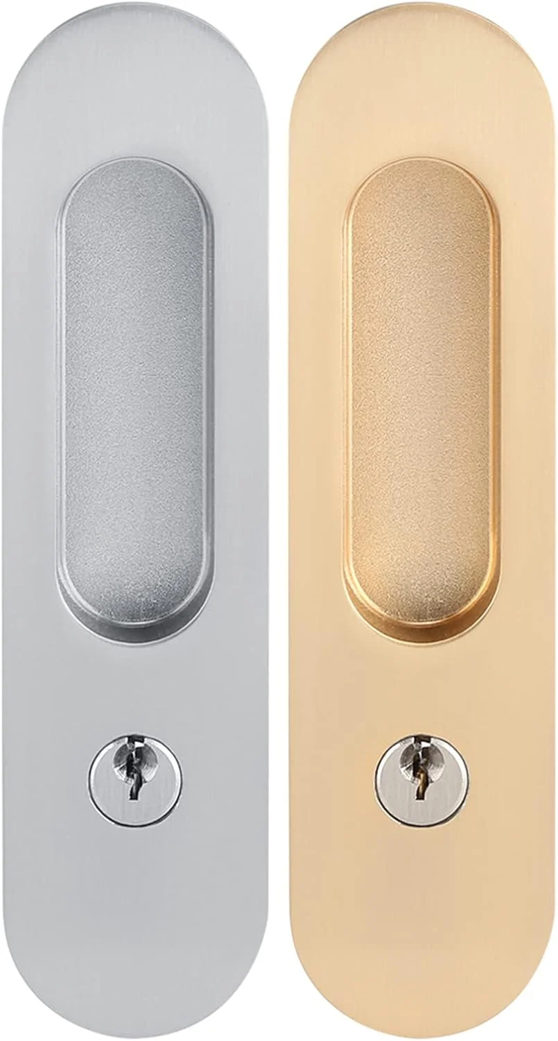 قفل درب کشویی آلیاژ آلومینیوم، دستگیره خارجی ضد سرقت درب کشویی با کلید، قطعات جایگزین قفل برای سخت افزار مبلمان چوبی انبار (نقره ای برس خورده) قفل درب کشویی آلیاژ آلومینیوم، دستگیره خارجی ضد سرقت درب کشویی با کلید، قطعات جایگزین قفل برای سخت افزار مبلمان چوبی انبار (نقره ای برس خورده)