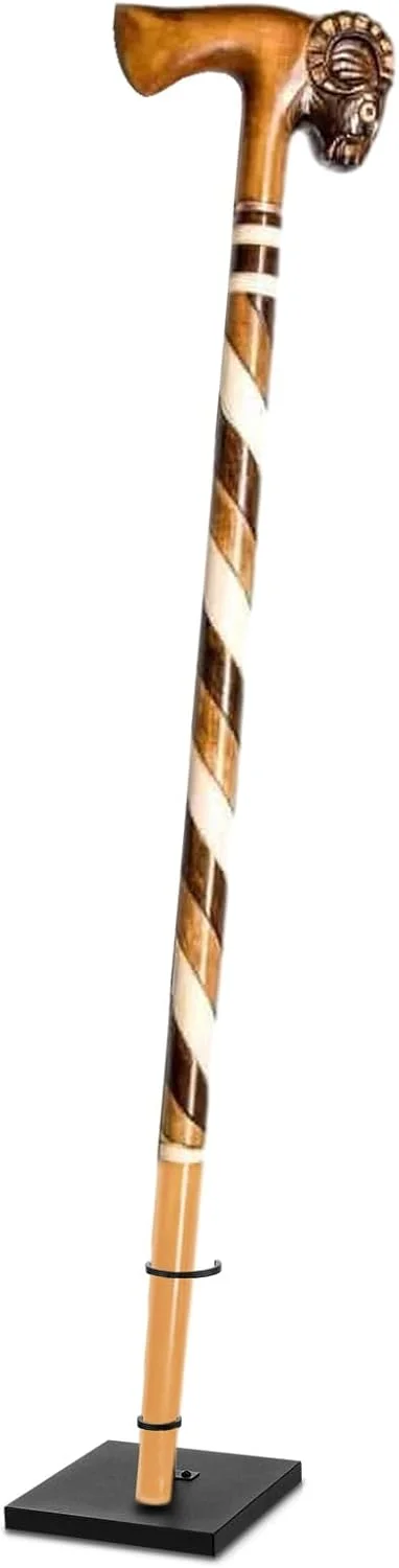 پایه عصا Yaocom، جا چوب دستی، قفسه نگهدارنده میله، پایه نمایشگر برای عصاهای نوک دار استاندارد، چتر ورودی، عصای زیر بغل پایه عصا Yaocom، جا چوب دستی، قفسه نگهدارنده میله، پایه نمایشگر برای عصاهای نوک دار استاندارد، چتر ورودی، عصای زیر بغل