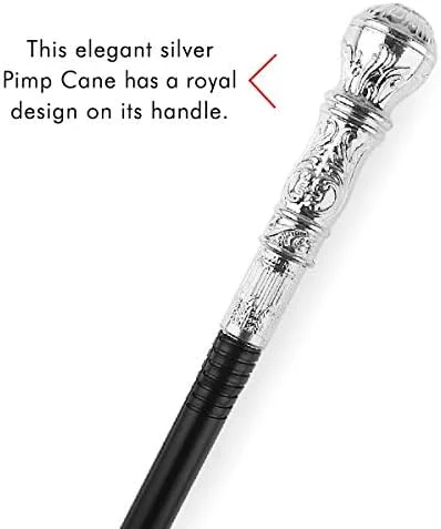 عصای پیادهروی نقرهای اسکلتین - عصای تزیینی شیک برای لباسهای مبدل، مناسب برای بزرگسالان و کودکان عصای پیادهروی نقرهای اسکلتین - عصای تزیینی شیک برای لباسهای مبدل، مناسب برای بزرگسالان و کودکان