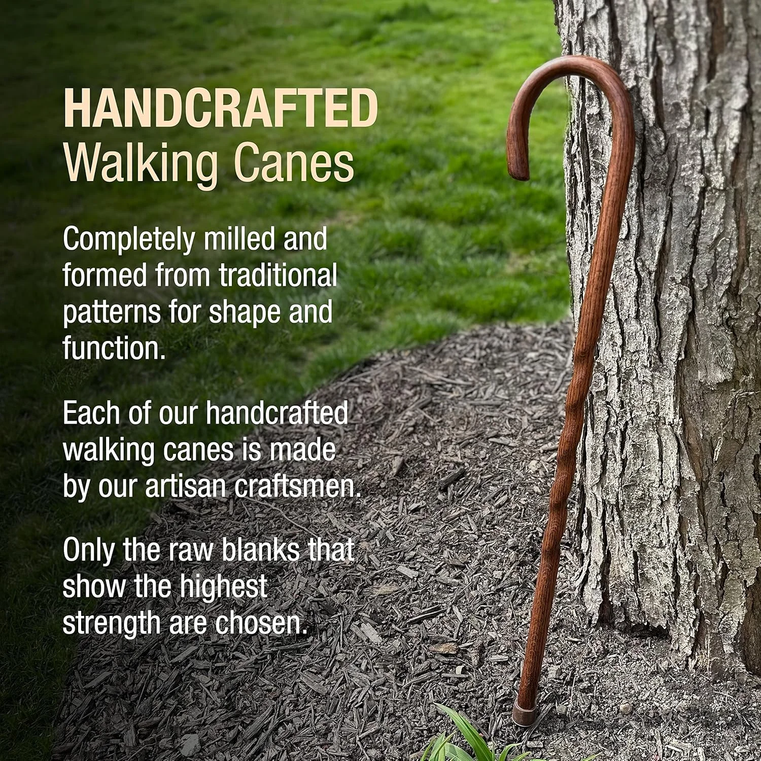عصای پیاده روی چوبی دست ساز Brazos، بلوط پیچ خورده، دسته خمیده، برای آقایان و خانم ها، ساخت آمریکا، قهوه ای روشن، 37 اینچ عصای پیاده روی چوبی دست ساز Brazos، بلوط پیچ خورده، دسته خمیده، برای آقایان و خانم ها، ساخت آمریکا، قهوه ای روشن، 37 اینچ