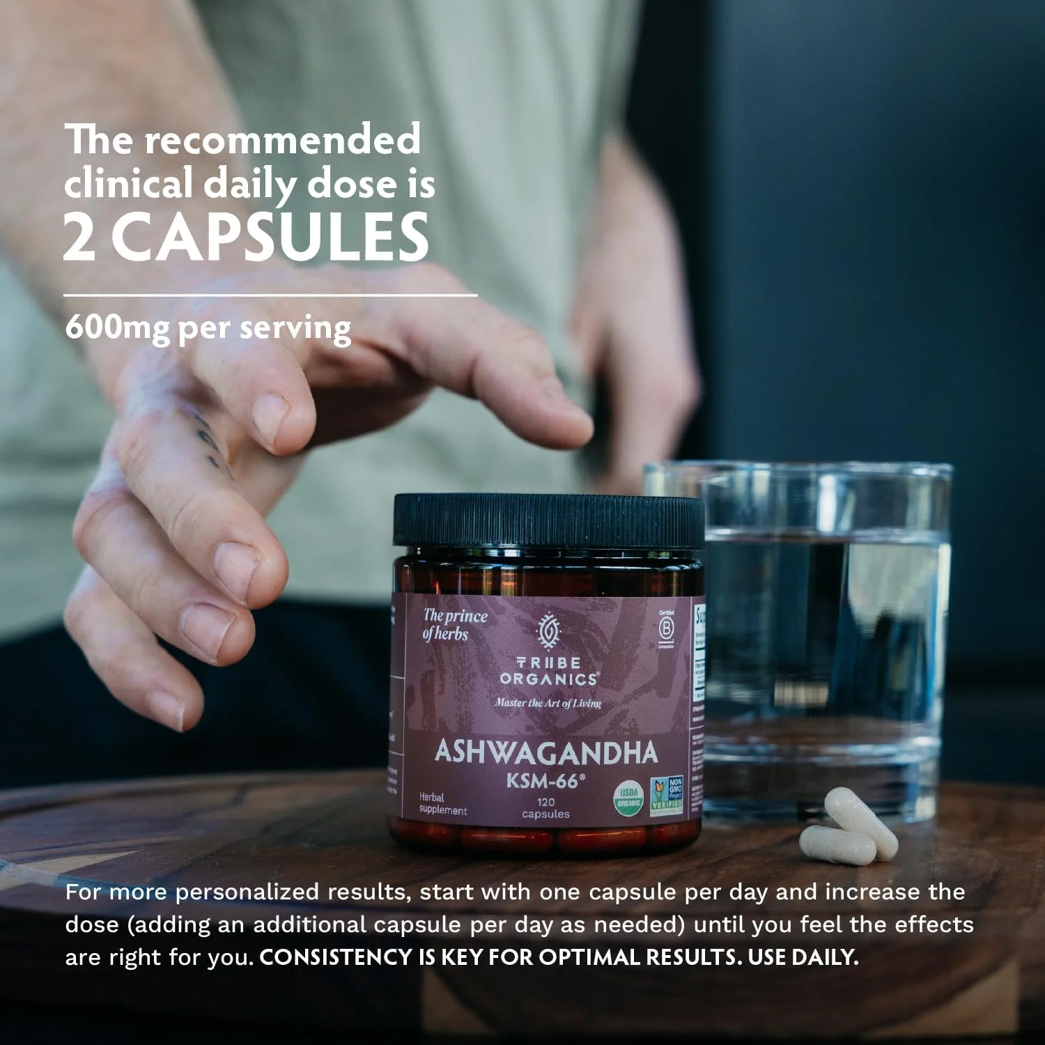 مکمل آشوآگاندا KSM 66 ارگانیک خالص TRIBE ORGANICS - پودر عصاره ریشه، مکمل آیورودا - پشتیبانی از تمرکز و خلق و خو، افزایش انرژی و قدرت، 600 میلی گرم KSM66 طبیعی برای جذب برتر - 90 کپسول مکمل آشوآگاندا KSM 66 ارگانیک خالص TRIBE ORGANICS - پودر عصاره ریشه، مکمل آیورودا - پشتیبانی از تمرکز و خلق و خو، افزایش انرژی و قدرت، 600 میلی گرم KSM66 طبیعی برای جذب برتر - 90 کپسول