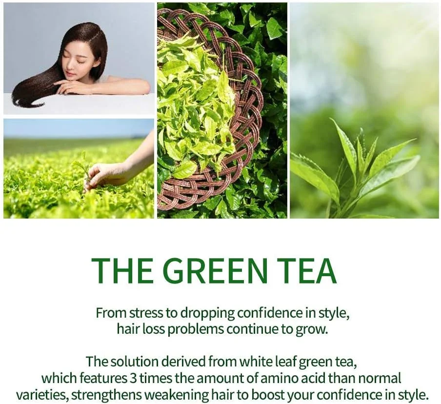 شامپو چای سبز آموس پروفشنال [طراوت بخش - برای پوست سر چرب] 500 گرم | شامپو ضد ریزش و تقویت کننده مو برای رشد مو و پاکسازی چربی اضافی | برند سالن مو کره ای