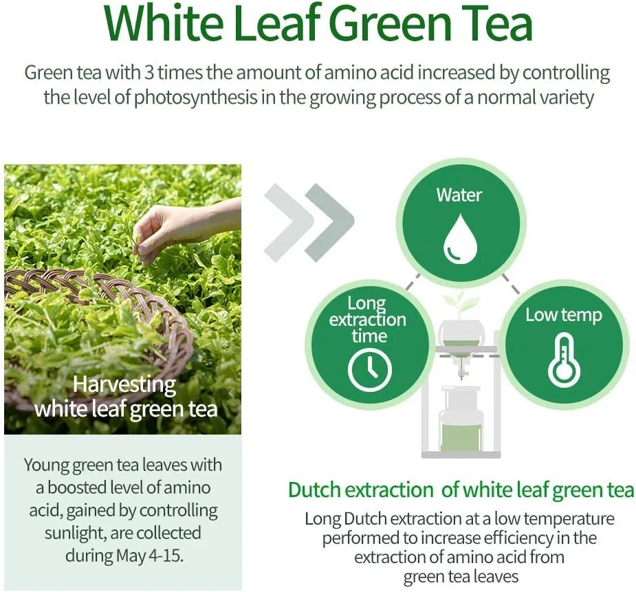 شامپو چای سبز آموس پروفشنال [طراوت بخش - برای پوست سر چرب] 500 گرم | شامپو ضد ریزش و تقویت کننده مو برای رشد مو و پاکسازی چربی اضافی | برند سالن مو کره ای