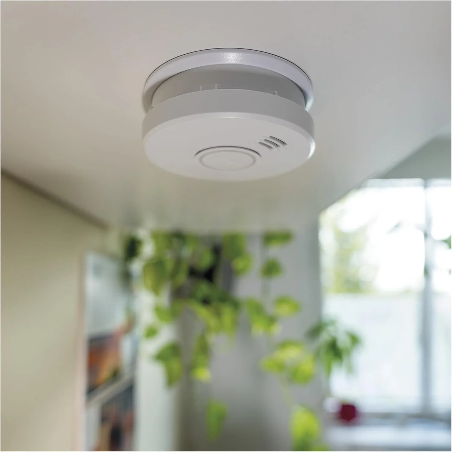 آشکارساز دود EMOS، آشکارساز آتش، آلارم آتش سوزی برای نصب روی سقف و دیوار - سنسور فوتوالکتریک، سیگنال صوتی 85 دسی بل، پیام هشدار LED نوری - 10 سال طول عمر - باتری 9 ولت شامل می شود آشکارساز دود EMOS، آشکارساز آتش، آلارم آتش سوزی برای نصب روی سقف و دیوار - سنسور فوتوالکتریک، سیگنال صوتی 85 دسی بل، پیام هشدار LED نوری - 10 سال طول عمر - باتری 9 ولت شامل می شود