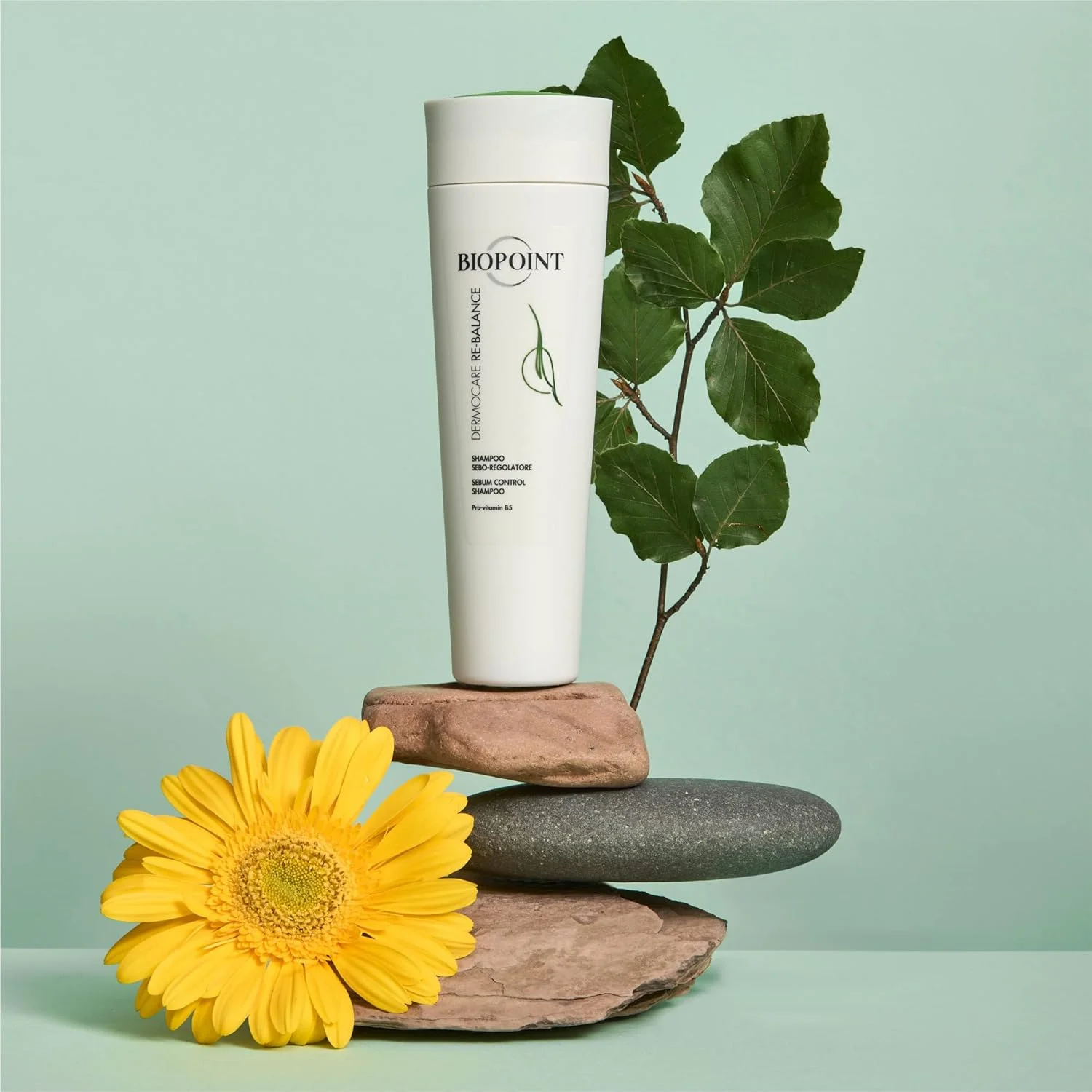 شامپو متعادل کننده BIOPOINT برای پوست سر چرب و انتهای خشک - شامپو درموکر برای موهای چرب - شامپو تنظیم کننده چربی برای موهای چرب - شامپو پوست سر چرب - درمان متعادل کننده پوست سر چرب درموکر شامپو متعادل کننده BIOPOINT برای پوست سر چرب و انتهای خشک - شامپو درموکر برای موهای چرب - شامپو تنظیم کننده چربی برای موهای چرب - شامپو پوست سر چرب - درمان متعادل کننده پوست سر چرب درموکر