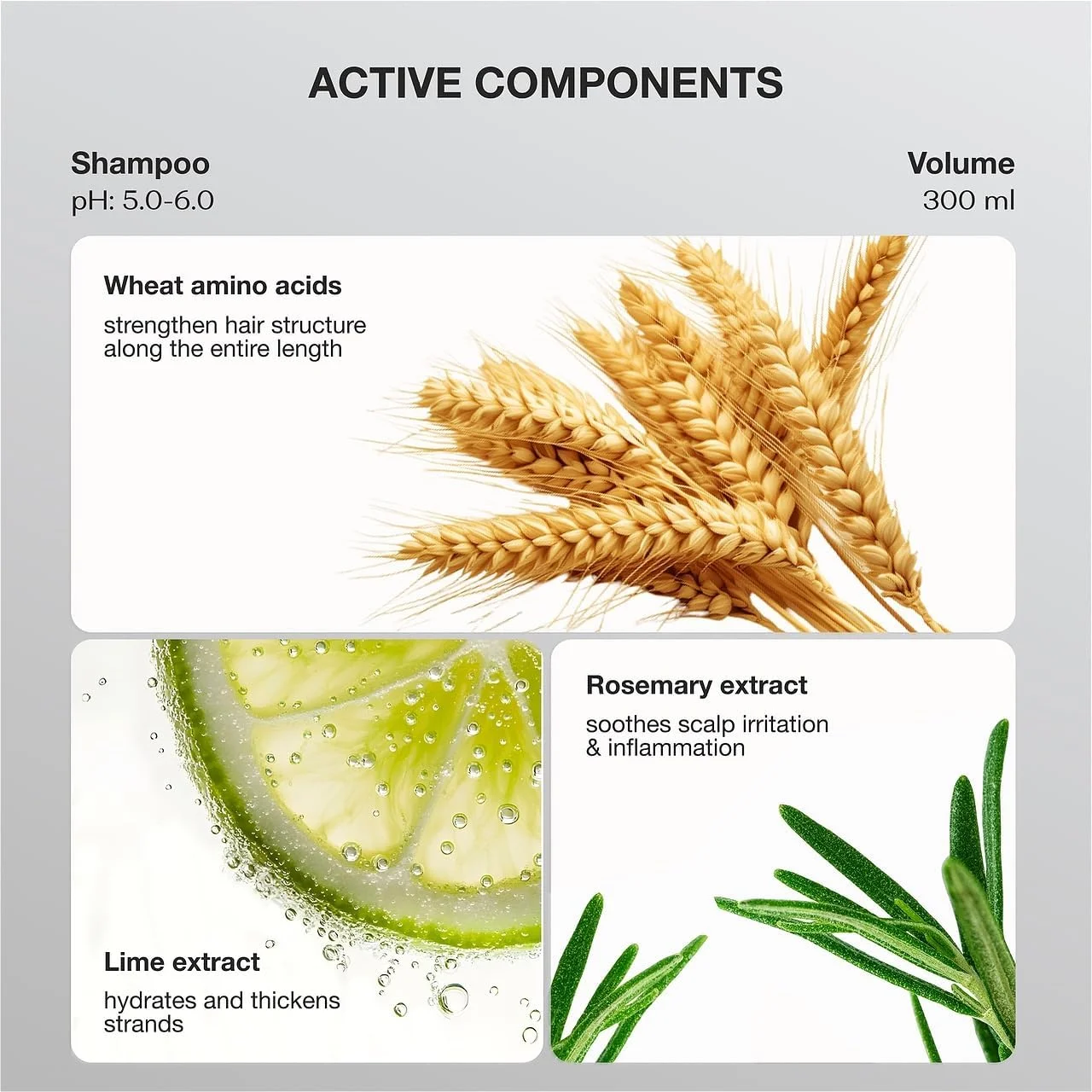 شامپو بدون سولفات مو Flario "FRESH & DETOX" از TaShe Professional، عمیقا موها را ترمیم می کند، موها را تقویت می کند، شامپو با شوره سر مبارزه می کند، مناسب برای انواع مو، 300 میلی لیتر شامپو بدون سولفات مو Flario "FRESH & DETOX" از TaShe Professional، عمیقا موها را ترمیم می کند، موها را تقویت می کند، شامپو با شوره سر مبارزه می کند، مناسب برای انواع مو، 300 میلی لیتر