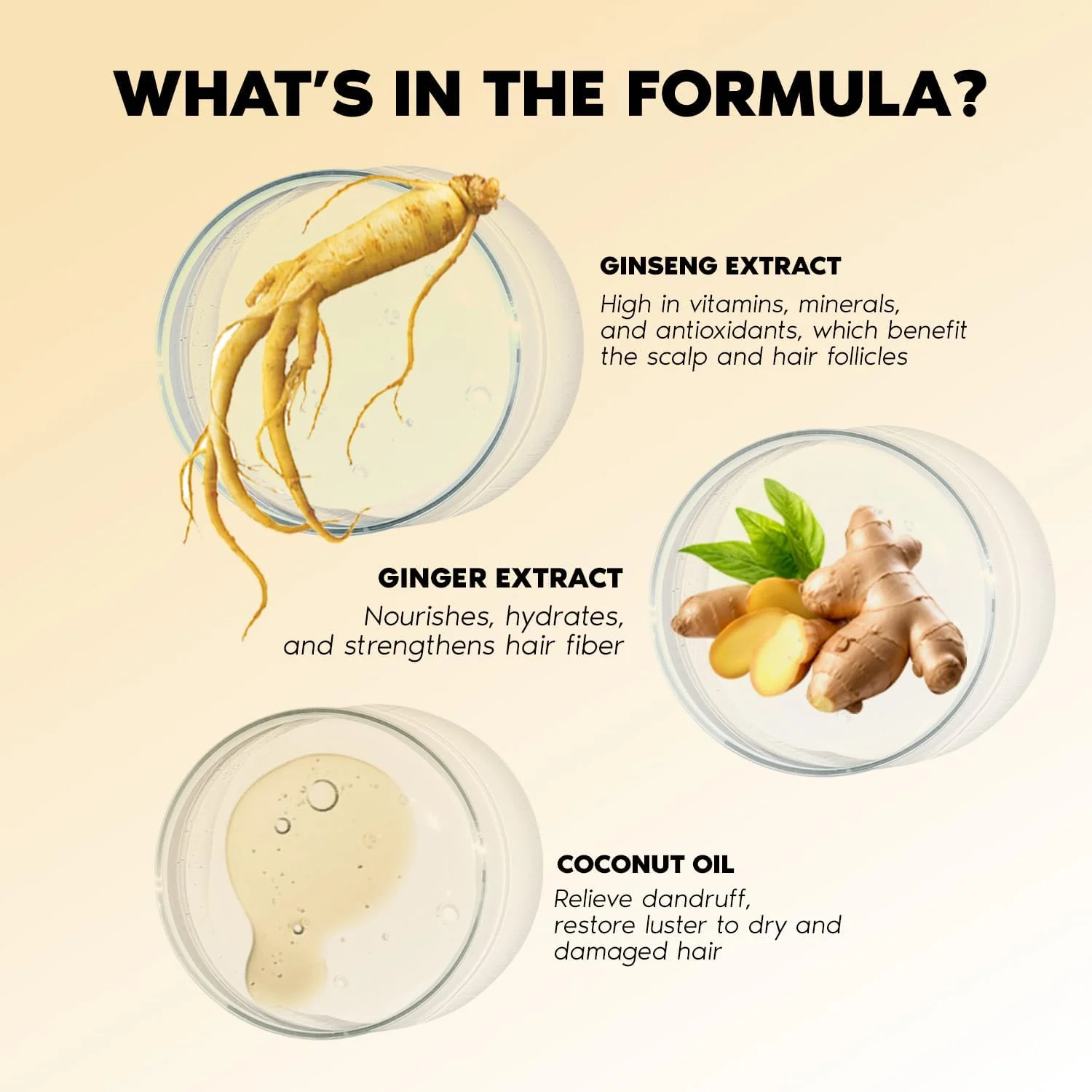 شامپو ضد شوره سر کاسومو به همراه هدیه ماساژور پوست سر | کاهش ریزش مو و شامپو ضد شوره برای پوست سر خشک، خارش دار و پوسته پوسته | شامپو درمان طبیعی ضد ریزش مو بدون سولفات (250 میلی لیتر) شامپو ضد شوره سر کاسومو به همراه هدیه ماساژور پوست سر | کاهش ریزش مو و شامپو ضد شوره برای پوست سر خشک، خارش دار و پوسته پوسته | شامپو درمان طبیعی ضد ریزش مو بدون سولفات (250 میلی لیتر)