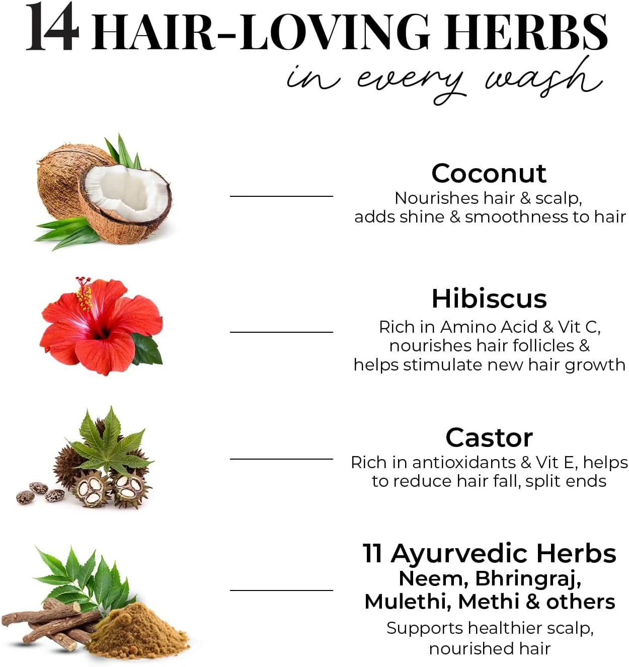 شامپو بدون سولفات کرچک و دانه پیاز سیاه جاست هربز، کاهش ریزش مو برای موهای خشک، وز و معمولی، مناسب آقایان و بانوان - 200 میلی لیتر شامپو بدون سولفات کرچک و دانه پیاز سیاه جاست هربز، کاهش ریزش مو برای موهای خشک، وز و معمولی، مناسب آقایان و بانوان - 200 میلی لیتر