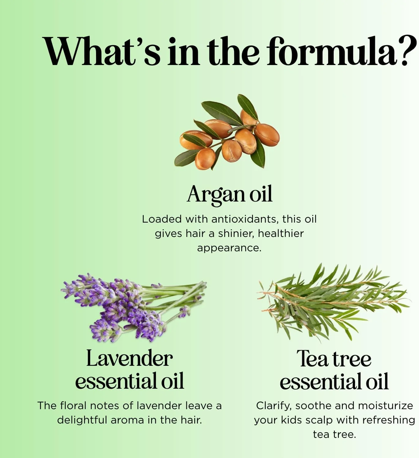 شامپو پاک کننده موی کودک HONEYDEW برای پوست سر خشک - شامپو مراقبت از پوست سر خشک و پوسته پوسته برای کودکان و از بین برنده تجمع مو با روغن درخت چای و روغن های ضروری رزماری برای مراقبت از مو - پاک کننده برای تجمع شامپو پاک کننده موی کودک HONEYDEW برای پوست سر خشک - شامپو مراقبت از پوست سر خشک و پوسته پوسته برای کودکان و از بین برنده تجمع مو با روغن درخت چای و روغن های ضروری رزماری برای مراقبت از مو - پاک کننده برای تجمع