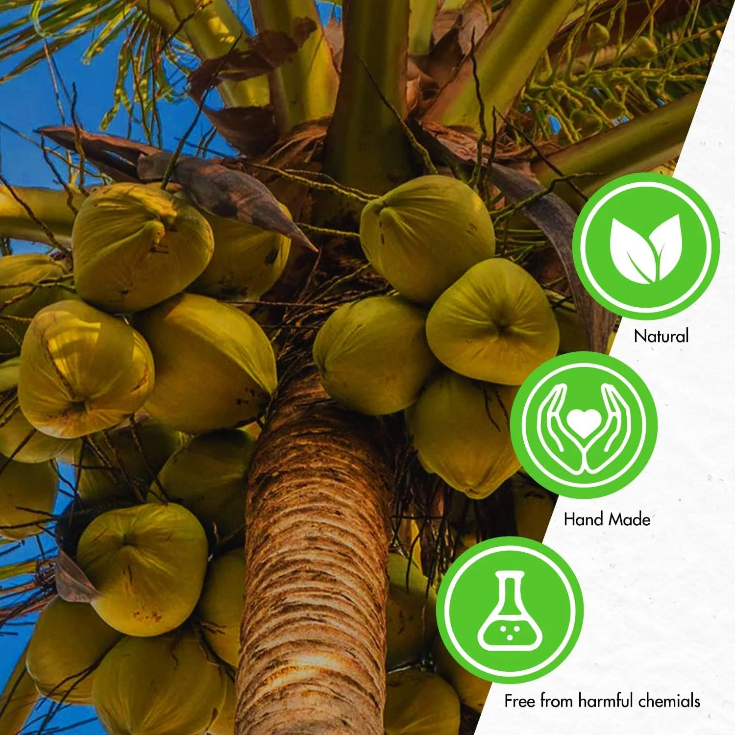 شامپو بار روغن نارگیل طبیعی هیمالین اوریجینز، مناسب موهای معمولی و خشک، فاقد سولفات و پارابن - 75 گرم شامپو بار روغن نارگیل طبیعی هیمالین اوریجینز، مناسب موهای معمولی و خشک، فاقد سولفات و پارابن - 75 گرم