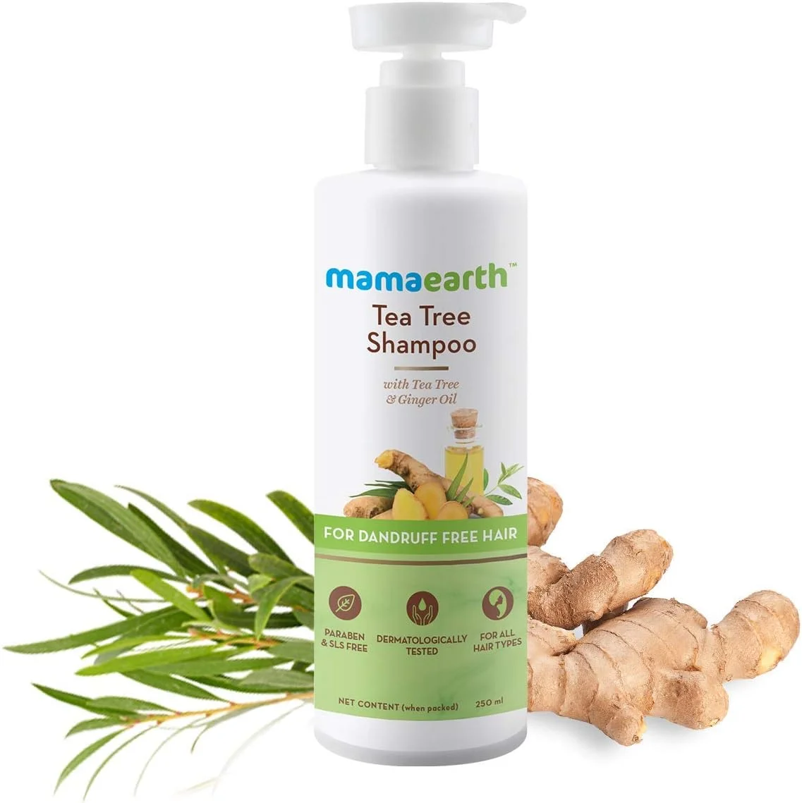 شامپو ضد شوره درخت چای ماماارت با روغن زنجبیل برای پوست سر بدون خارش و موهای بدون وز و تغذیه شده | کنترل شوره سر و موخوره | مناسب برای انواع مو | 250 میلی لیتر شامپو ضد شوره درخت چای ماماارت با روغن زنجبیل برای پوست سر بدون خارش و موهای بدون وز و تغذیه شده | کنترل شوره سر و موخوره | مناسب برای انواع مو | 250 میلی لیتر