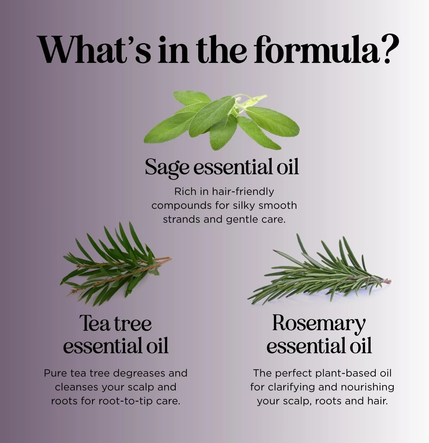 میپل هولیستیکس، شامپو مریم گلی، فرمول ویژه، 473 میلی لیتر میپل هولیستیکس، شامپو مریم گلی، فرمول ویژه، 473 میلی لیتر