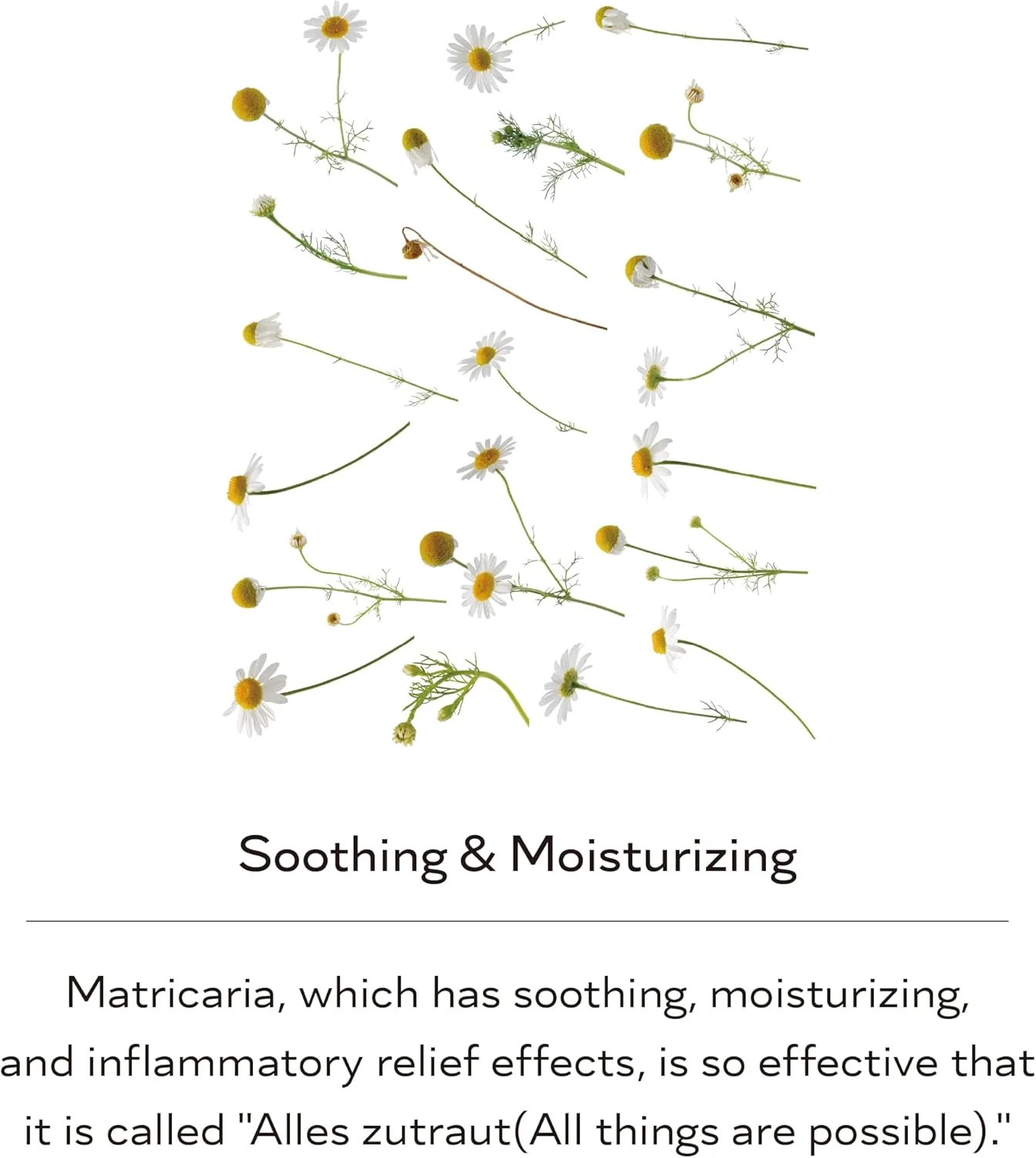 شامپو مرطوب کننده پوست سر آلبé | مناسب موهای خشک | رایحه مطبوع | پاک کننده | شامپو بدون سیلیکون | بدون عطر | اسیدیته ضعیف | جلوگیری از ریزش مو | فرمولاسیون ثبت شده | وگان | حجم زیاد 500 میلی لیتر شامپو مرطوب کننده پوست سر آلبé | مناسب موهای خشک | رایحه مطبوع | پاک کننده | شامپو بدون سیلیکون | بدون عطر | اسیدیته ضعیف | جلوگیری از ریزش مو | فرمولاسیون ثبت شده | وگان | حجم زیاد 500 میلی لیتر