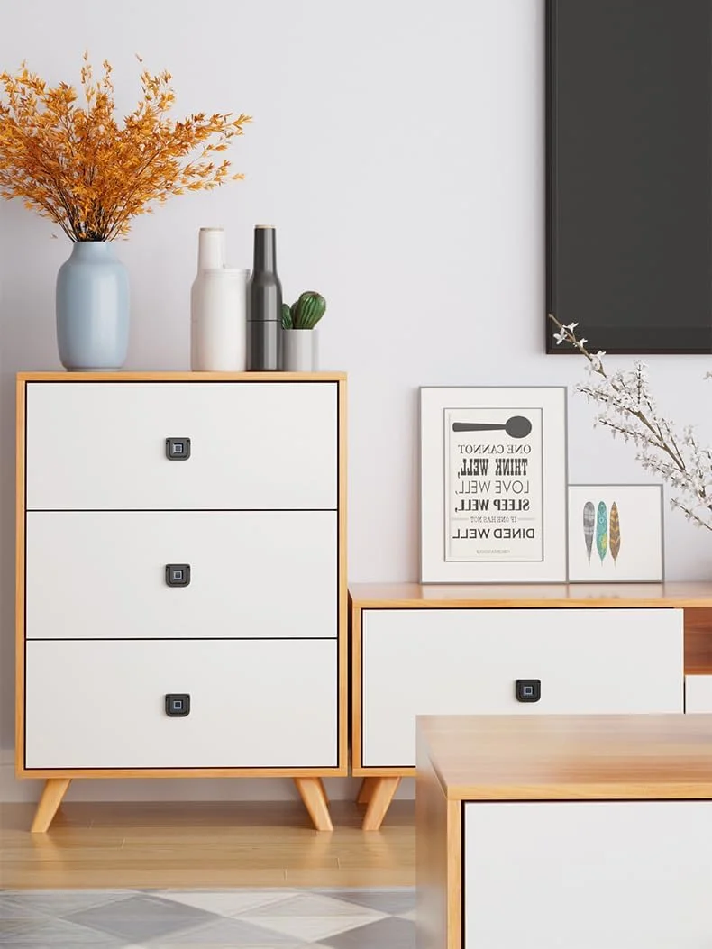 قفل اثر انگشتی KASTWAVE برای کشو و کمد پرونده، بیومتریک هوشمند، قفل مخفی بدون کلید برای کمد و کشو پرونده، قفل برای خانه، دفتر، درب های کشویی کمد (مشکی) قفل اثر انگشتی KASTWAVE برای کشو و کمد پرونده، بیومتریک هوشمند، قفل مخفی بدون کلید برای کمد و کشو پرونده، قفل برای خانه، دفتر، درب های کشویی کمد (مشکی)