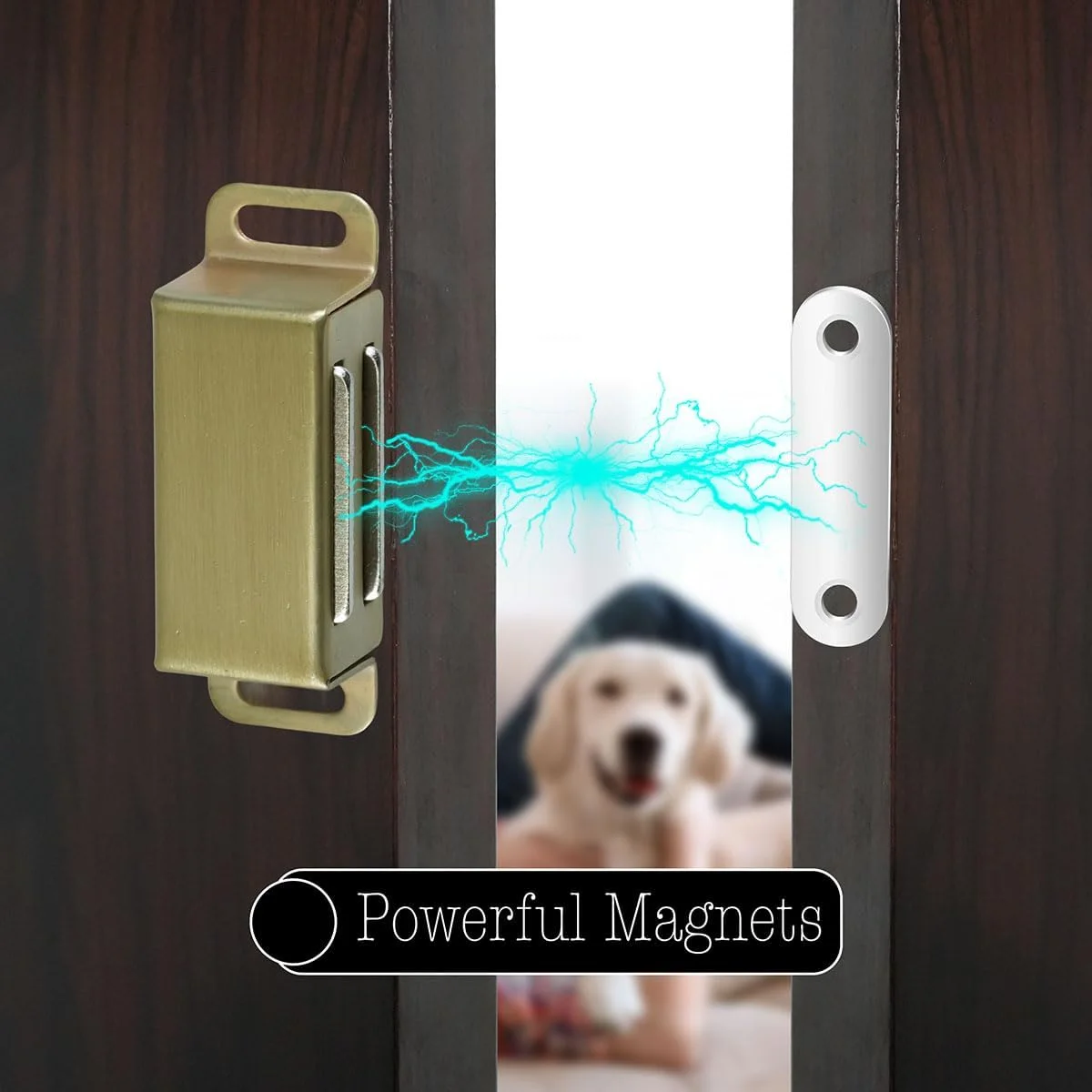 مگنت درب کابینت Selyse، مگنت های قوی 8 کیلوگرمی، کشوهای استیل ضد زنگ، بست مغناطیسی درب، مگنت برای مبلمان و درب بالکن، طلایی (بسته 4 عددی)