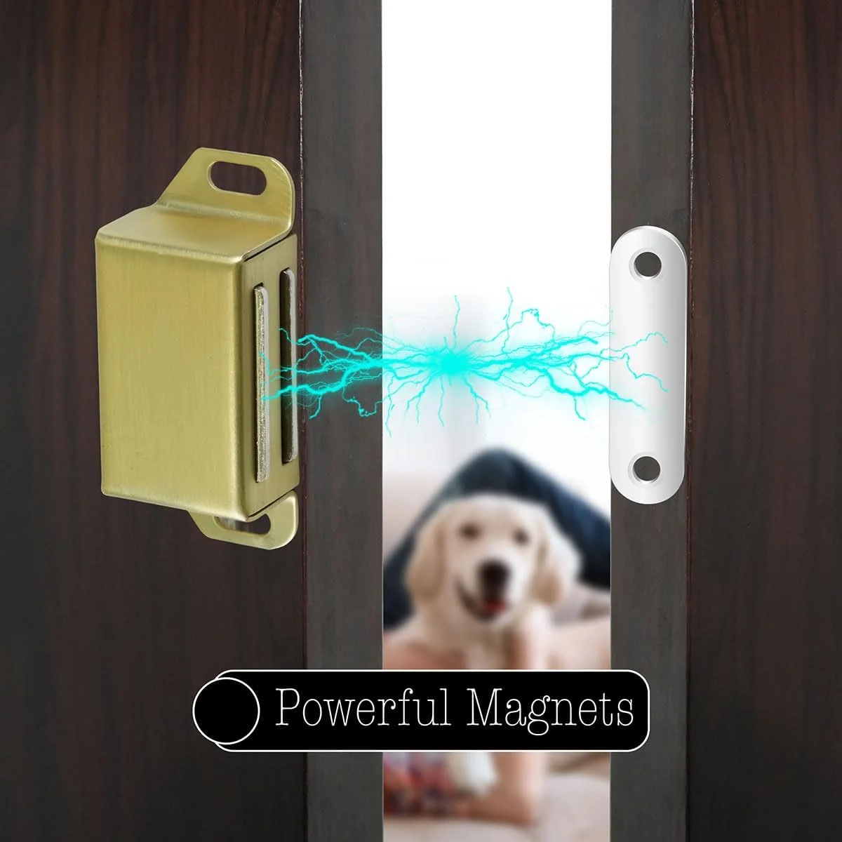 مگنت درب کابینت Selyse، مگنت های قوی 14 کیلوگرمی، قفل مغناطیسی استیل برای کشو، بست مغناطیسی درب، مگنت برای درب مبلمان و بالکن، طلایی (بسته 4 عددی)