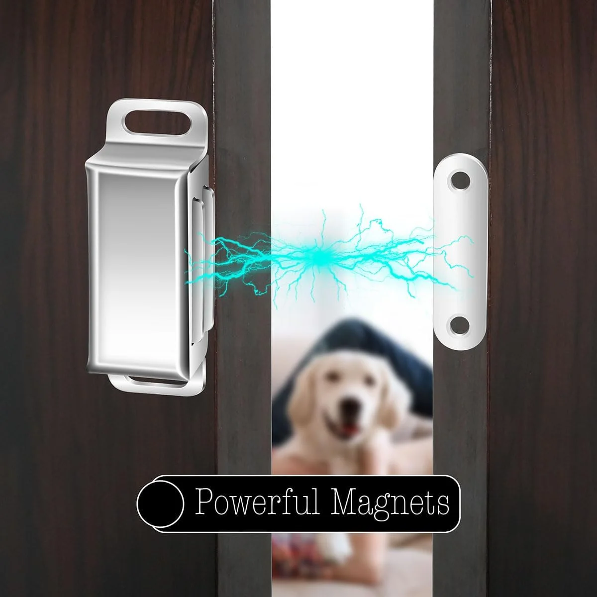 مگنت درب کابینت Selyse، مگنت های قوی 14 کیلوگرمی، بست های مغناطیسی استیل ضد زنگ برای کشو، درب بند مغناطیسی، مگنت برای مبلمان و درب بالکن (بسته 2 عددی) مگنت درب کابینت Selyse، مگنت های قوی 14 کیلوگرمی، بست های مغناطیسی استیل ضد زنگ برای کشو، درب بند مغناطیسی، مگنت برای مبلمان و درب بالکن (بسته 2 عددی)