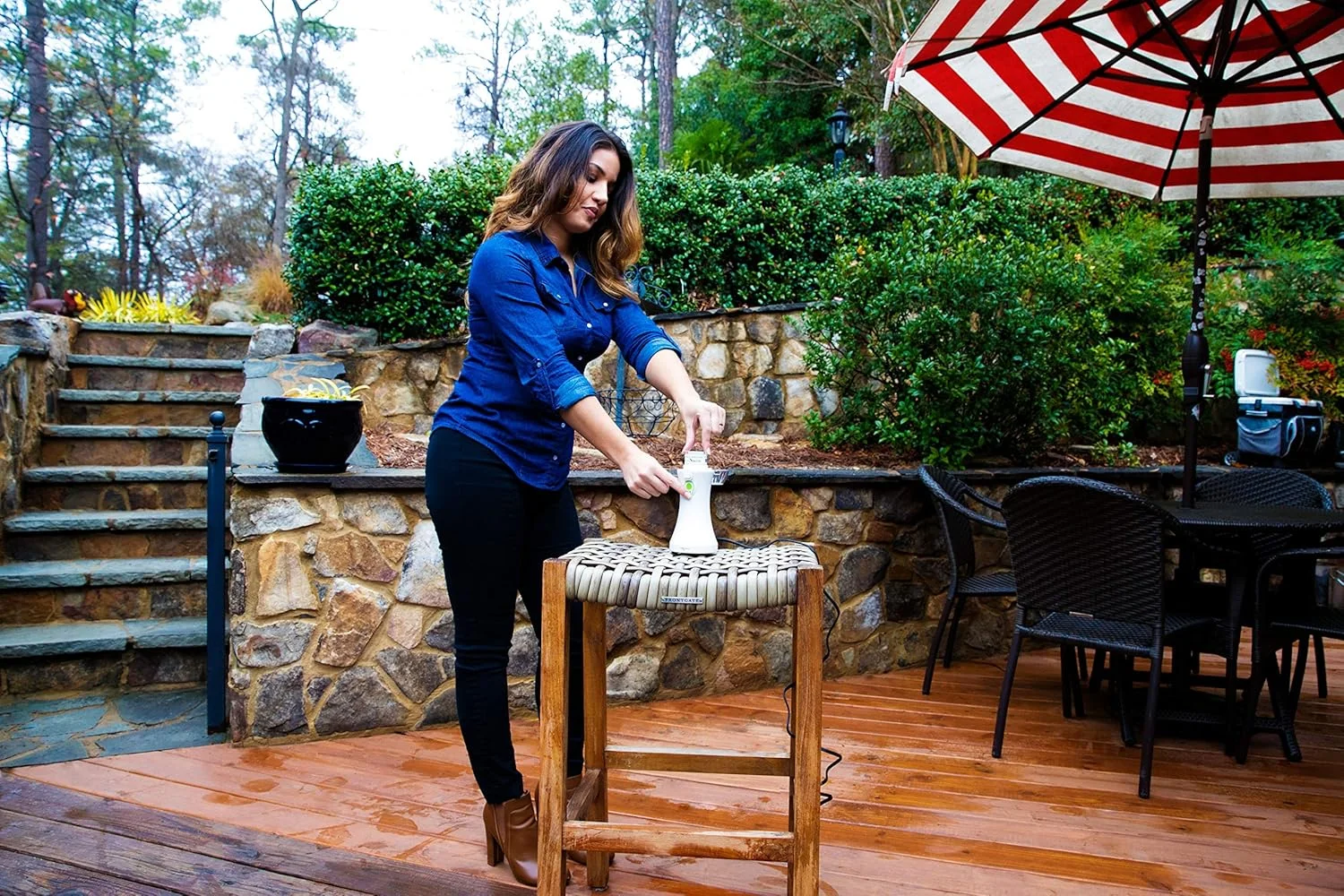 کیت تست کپک My Mold Detective MMD103، کیت 3 اتاقه کیت تست کپک My Mold Detective MMD103، کیت 3 اتاقه