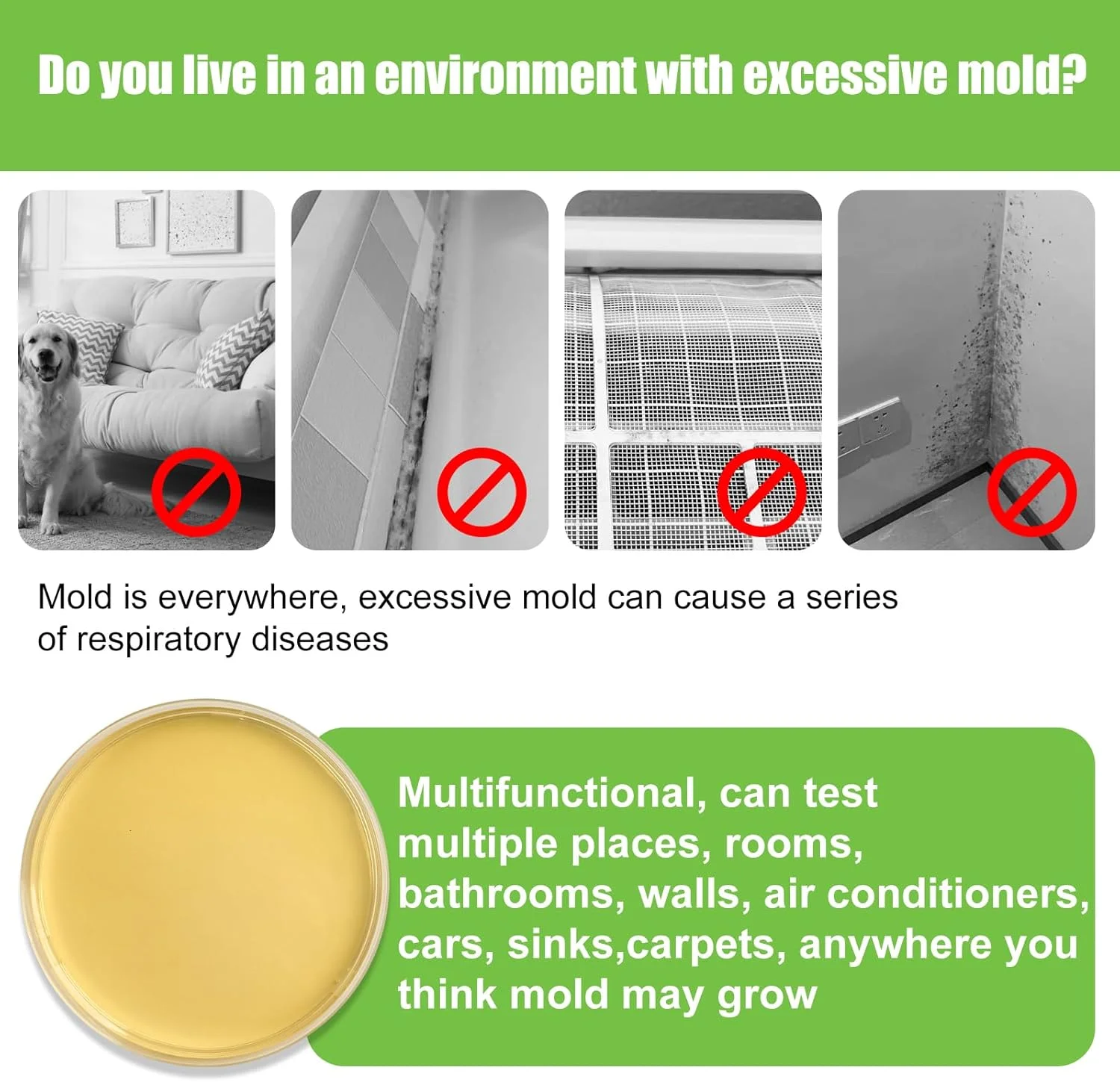 کیت تست کپک برای خانه - 6 تست تشخیص ساده، تست سیستم تهویه مطبوع، سطوح خانه و کیت های تست کیفیت هوای داخل ساختمان، آشکارساز کپک سیاه DIY در خانه، شامل راهنمای شناسایی دقیق کپک، تست کننده هوا کیت تست کپک برای خانه - 6 تست تشخیص ساده، تست سیستم تهویه مطبوع، سطوح خانه و کیت های تست کیفیت هوای داخل ساختمان، آشکارساز کپک سیاه DIY در خانه، شامل راهنمای شناسایی دقیق کپک، تست کننده هوا