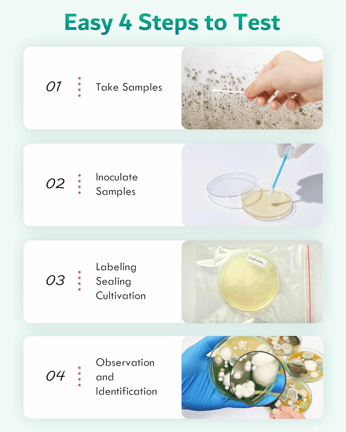 کیت تست کپک با 8 تست مجزا - کیت تست کپک خانگی - شامل راهنمای شناسایی دقیق کپک - ردیاب کپک سریع و قابل اعتماد برای خانه کیت تست کپک با 8 تست مجزا - کیت تست کپک خانگی - شامل راهنمای شناسایی دقیق کپک - ردیاب کپک سریع و قابل اعتماد برای خانه