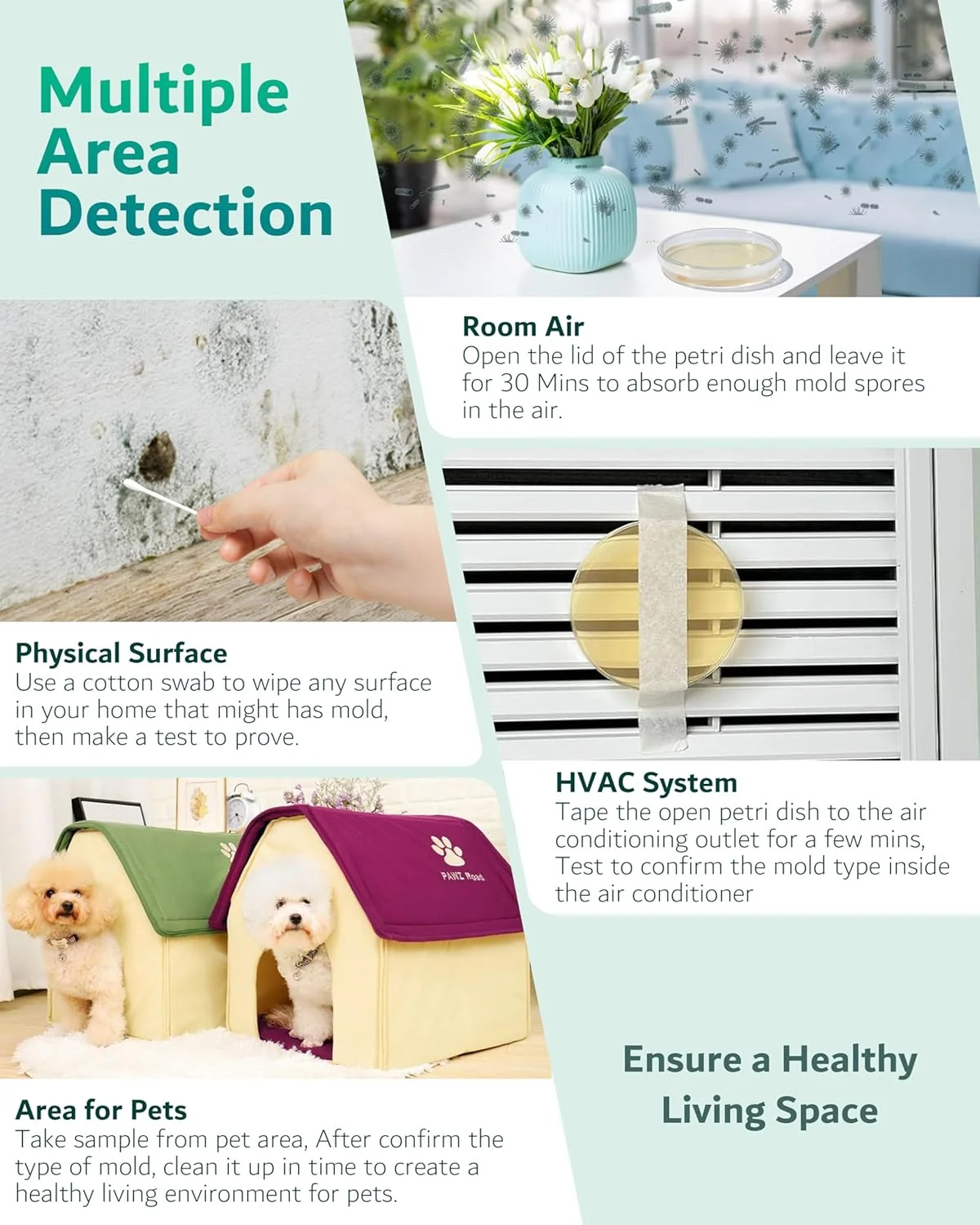 کیت تست کپک با 8 تست مجزا - کیت تست کپک خانگی - شامل راهنمای شناسایی دقیق کپک - ردیاب کپک سریع و قابل اعتماد برای خانه کیت تست کپک با 8 تست مجزا - کیت تست کپک خانگی - شامل راهنمای شناسایی دقیق کپک - ردیاب کپک سریع و قابل اعتماد برای خانه