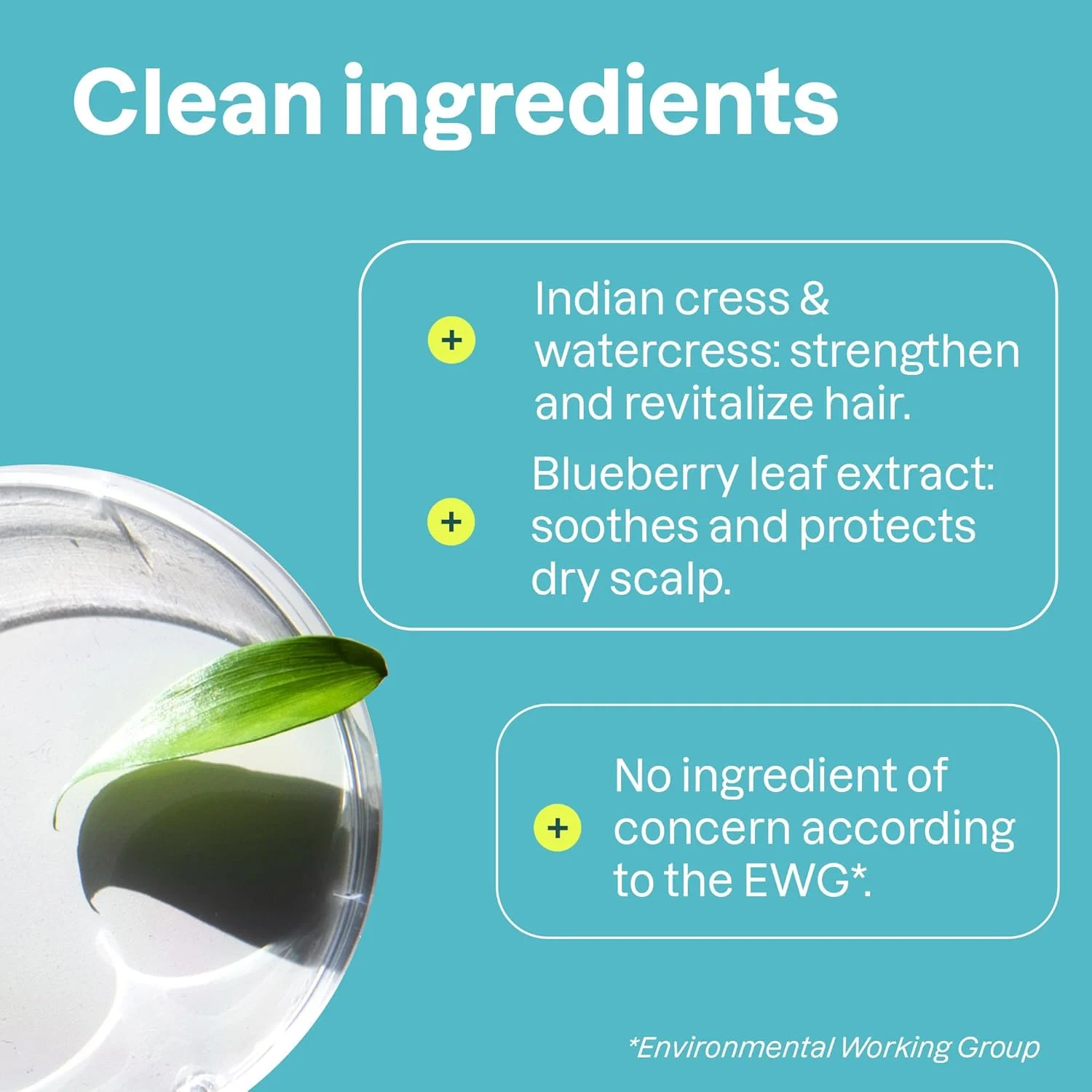 شامپو مو ATTITUDE، دارای گواهی EWG، مواد تشکیل دهنده گیاهی و معدنی، محصولات زیبایی و مراقبت شخصی وگان و بدون تست حیوانی، بدون عطر، 473 میلی لیتر شامپو مو ATTITUDE، دارای گواهی EWG، مواد تشکیل دهنده گیاهی و معدنی، محصولات زیبایی و مراقبت شخصی وگان و بدون تست حیوانی، بدون عطر، 473 میلی لیتر