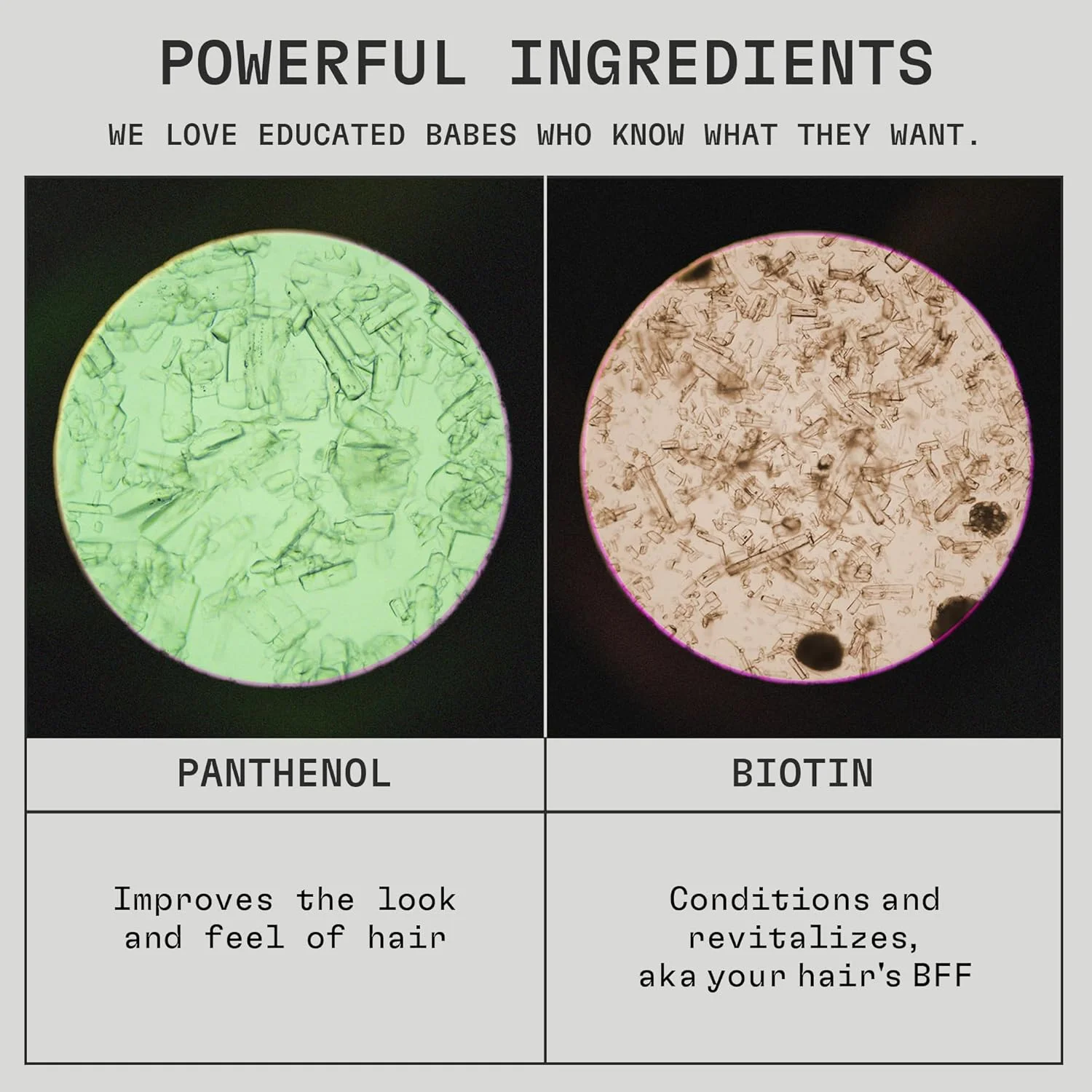 شامپو آبرسان موی کلین جورنی Divine Hydration، دارای گواهینامه EWG، غنی شده با پانتنول و بیوتین، برای موهای خشک و شکننده، مواد اولیه تمیز، وگان، رایحه استوایی، 355 میلی لیتر شامپو آبرسان موی کلین جورنی Divine Hydration، دارای گواهینامه EWG، غنی شده با پانتنول و بیوتین، برای موهای خشک و شکننده، مواد اولیه تمیز، وگان، رایحه استوایی، 355 میلی لیتر